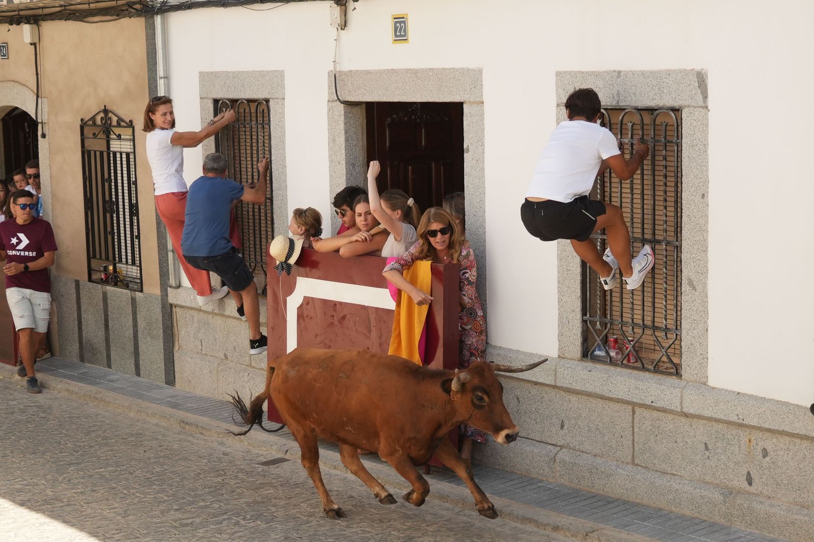 El encierro de vaquillas por Santa Ana El Viso, en imágenes