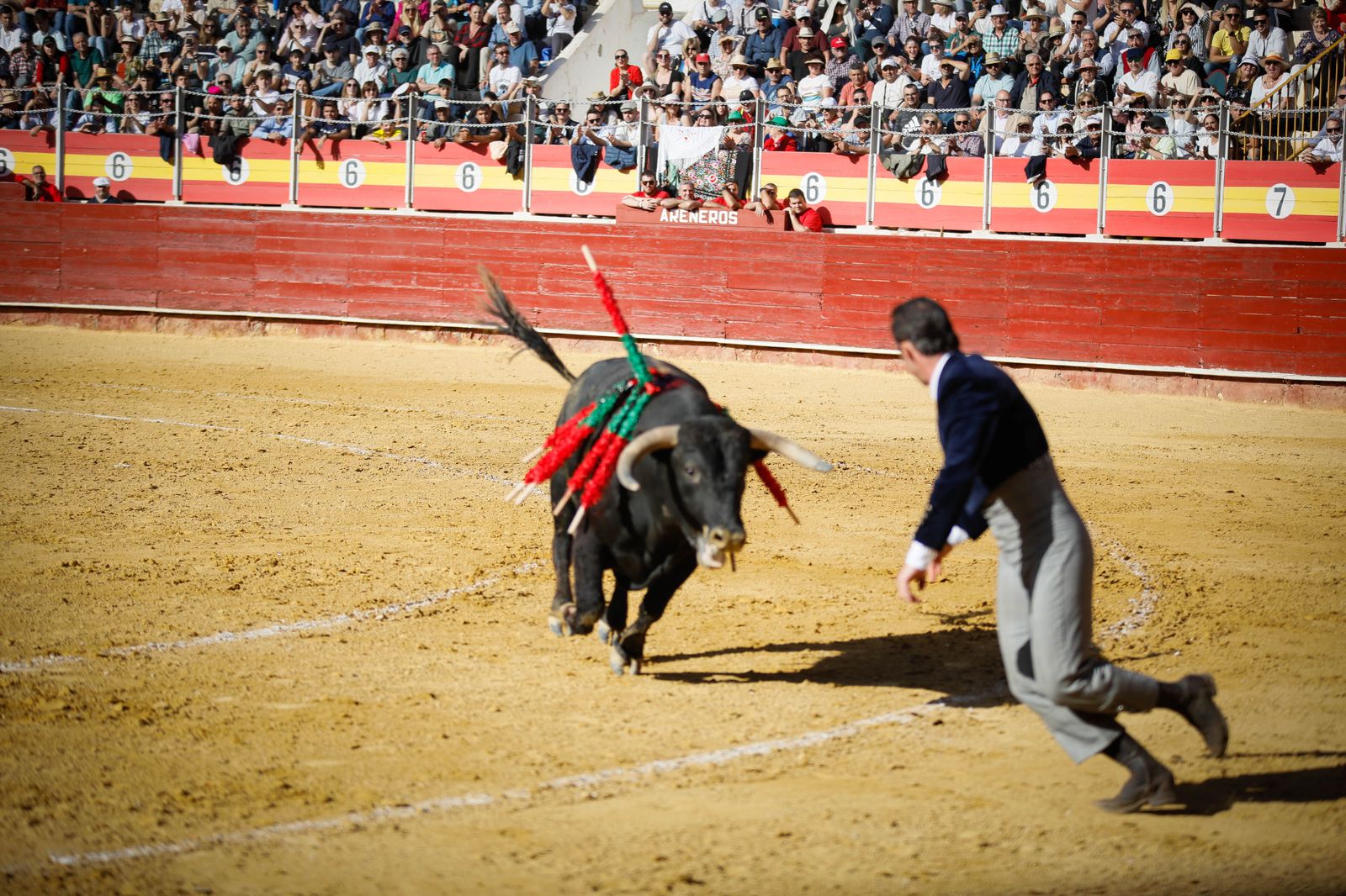 Imágenes del festival mixto lucha contra el cáncer