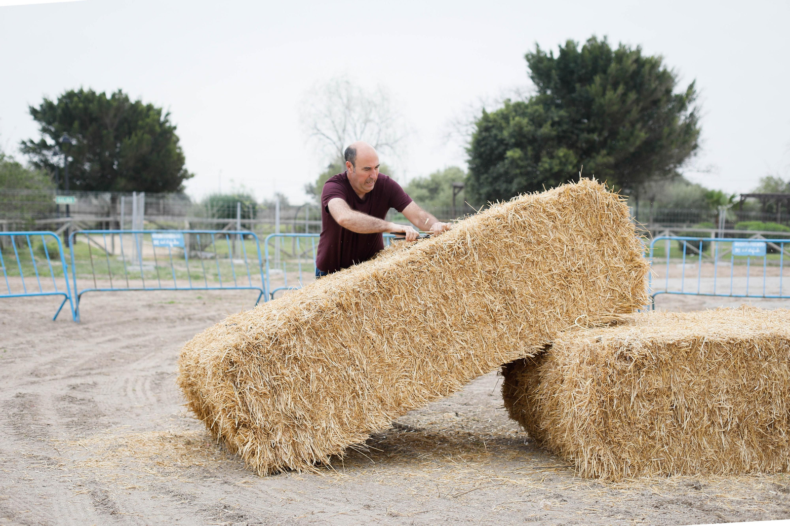 Galería de la Feria  de ganado en Tarambana