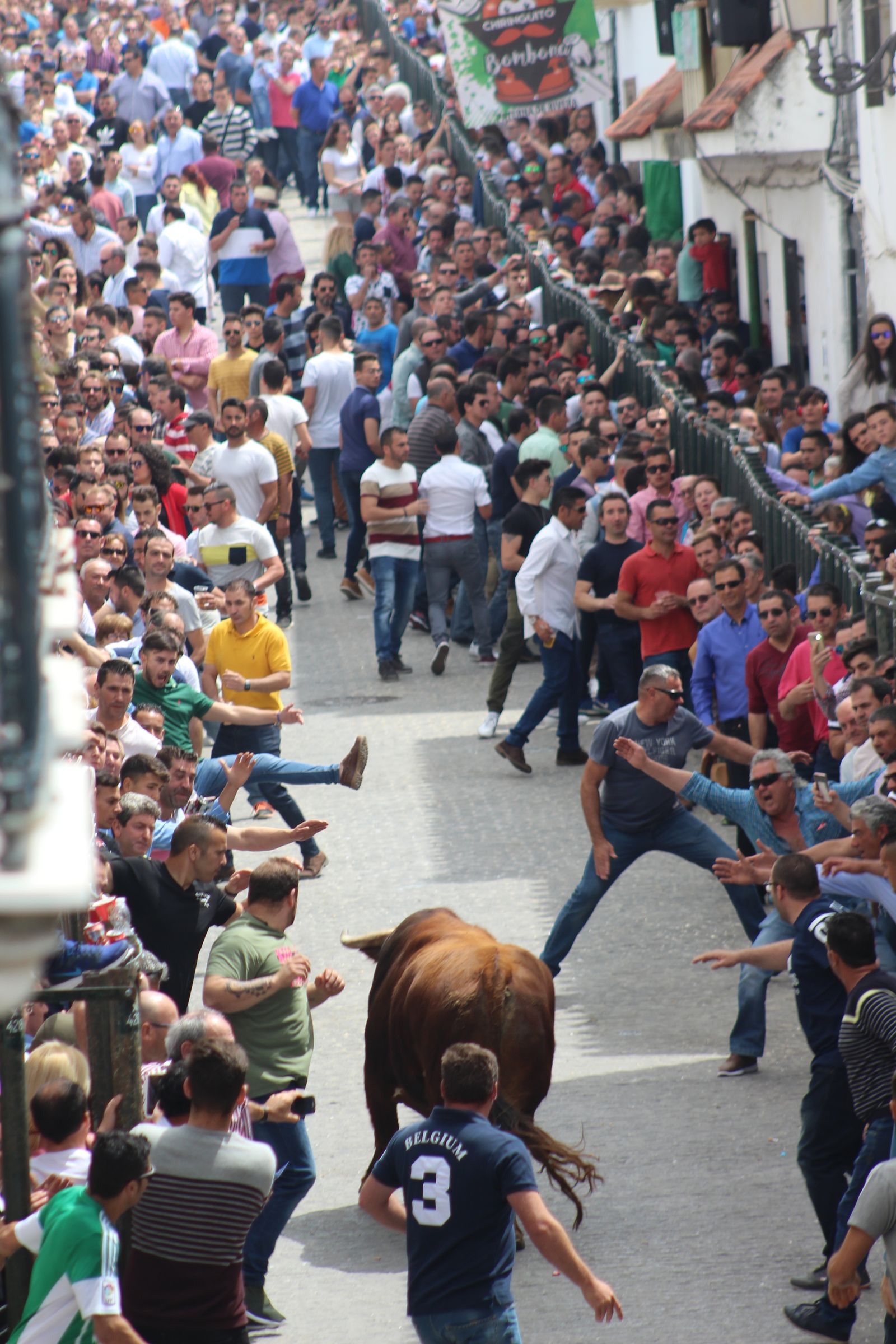 Toro Embolao en Paterna