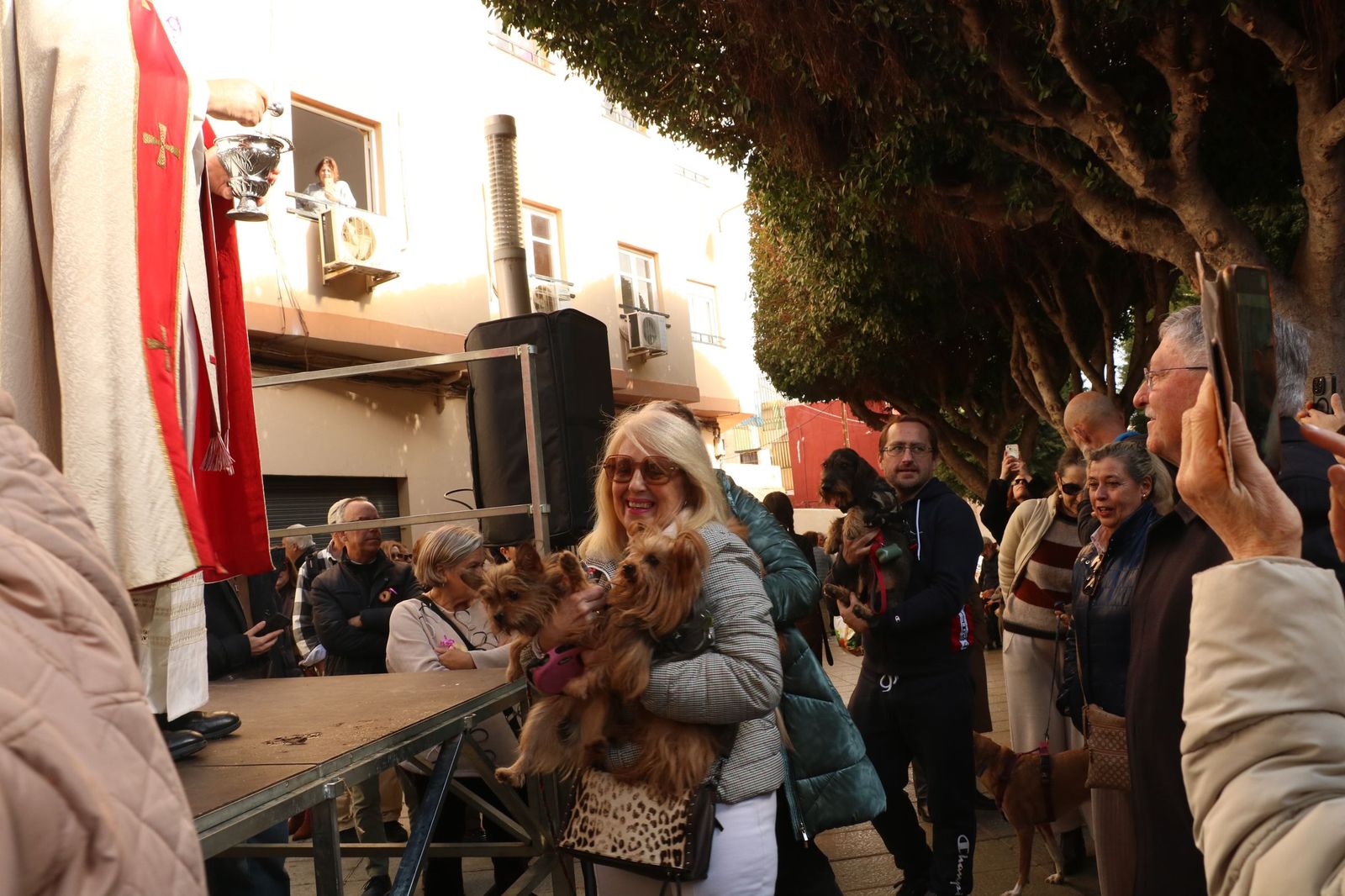 Así ha sido la bendición de las mascotas y la subasta de 'rabicos' en el casco histórico de Almería