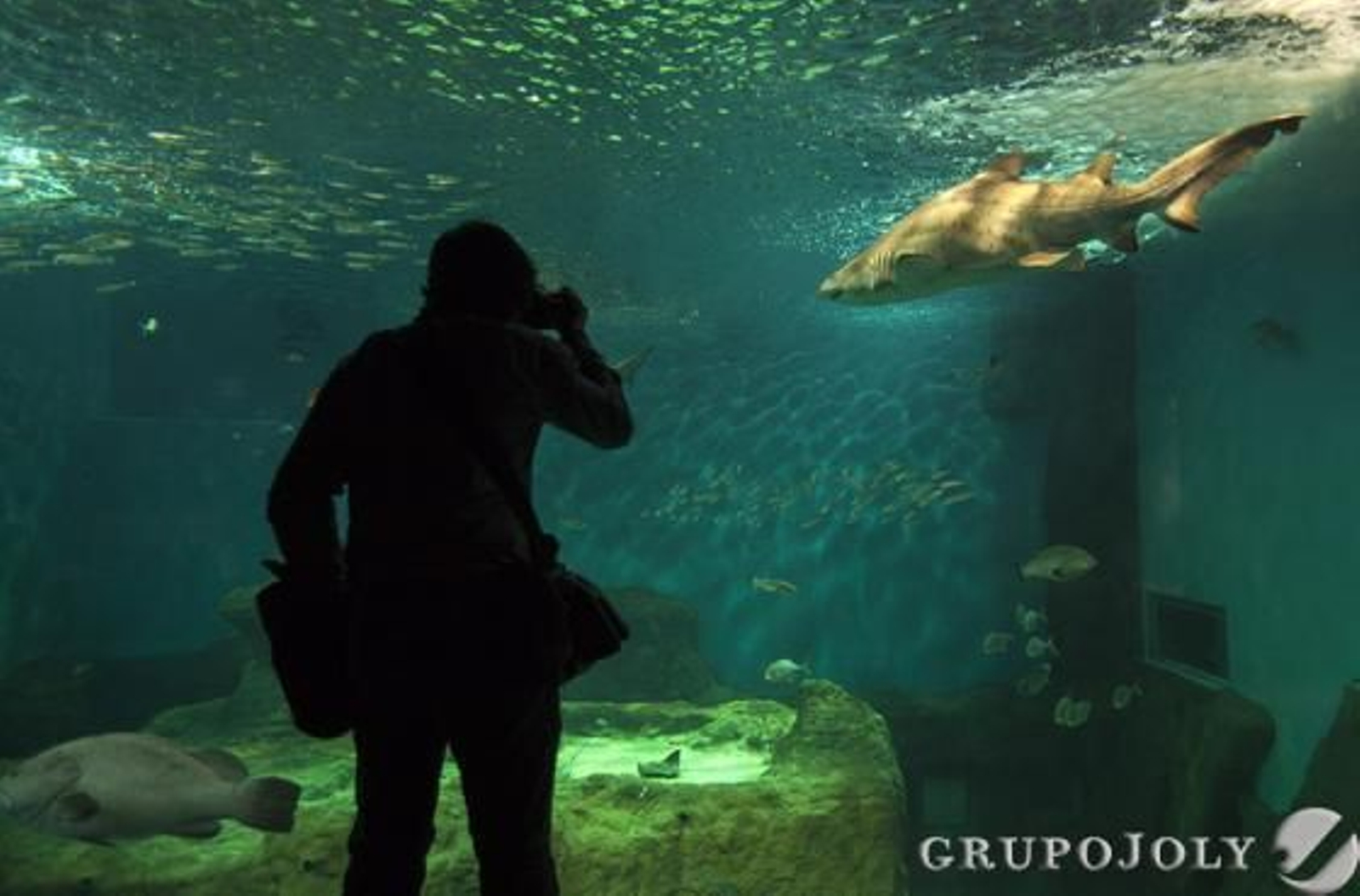 Foto: Antonio Pizarro