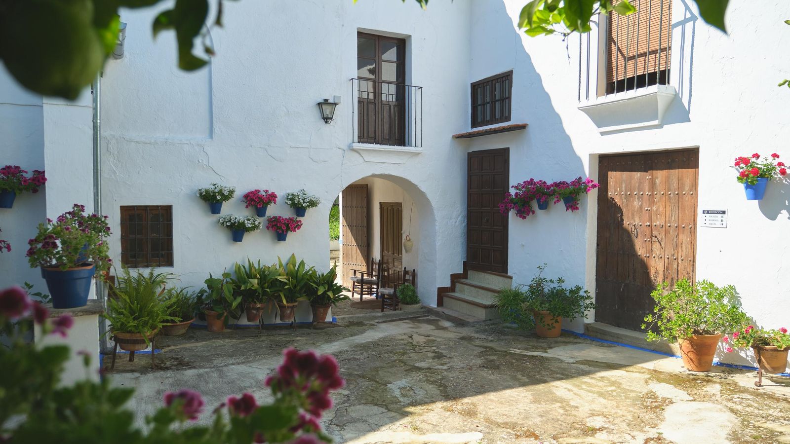 Patio del Lagar Cañada Navarro.