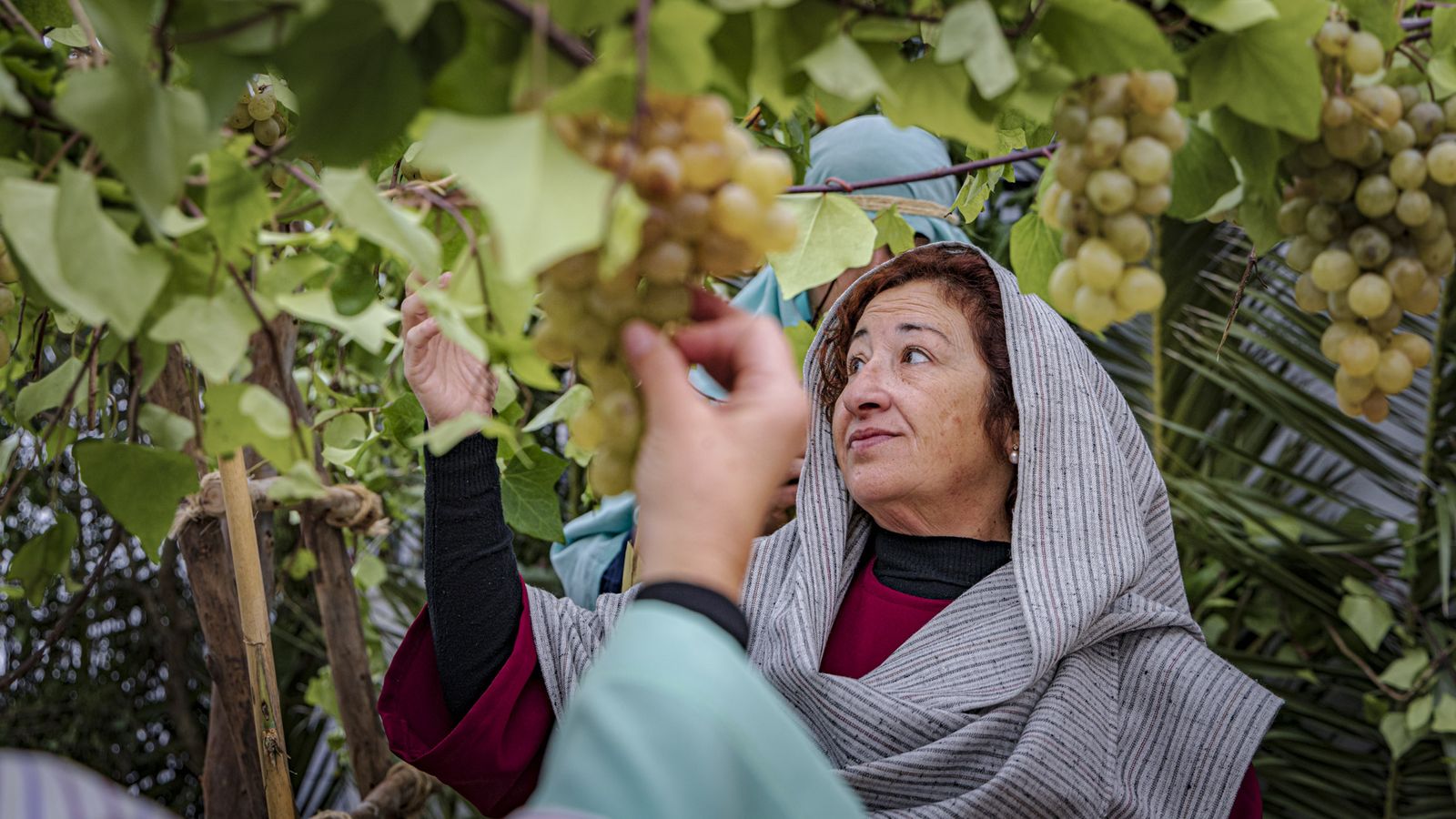 Las imágenes del Belén viviente en Medina Sidonia