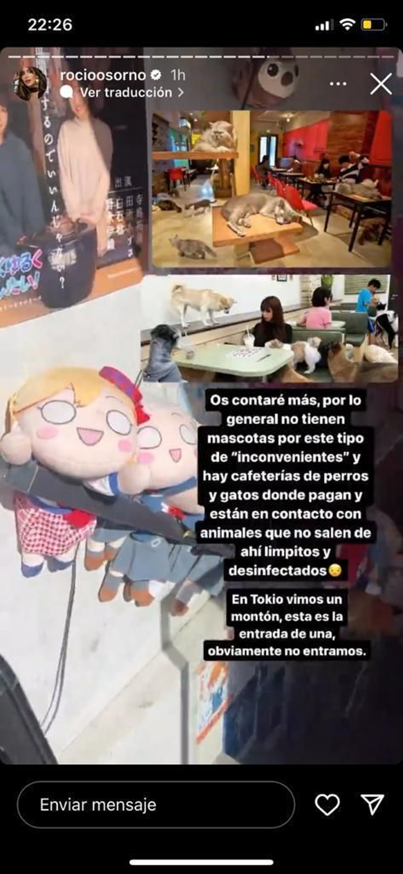 Stories de Rocío Osorno-mascotas