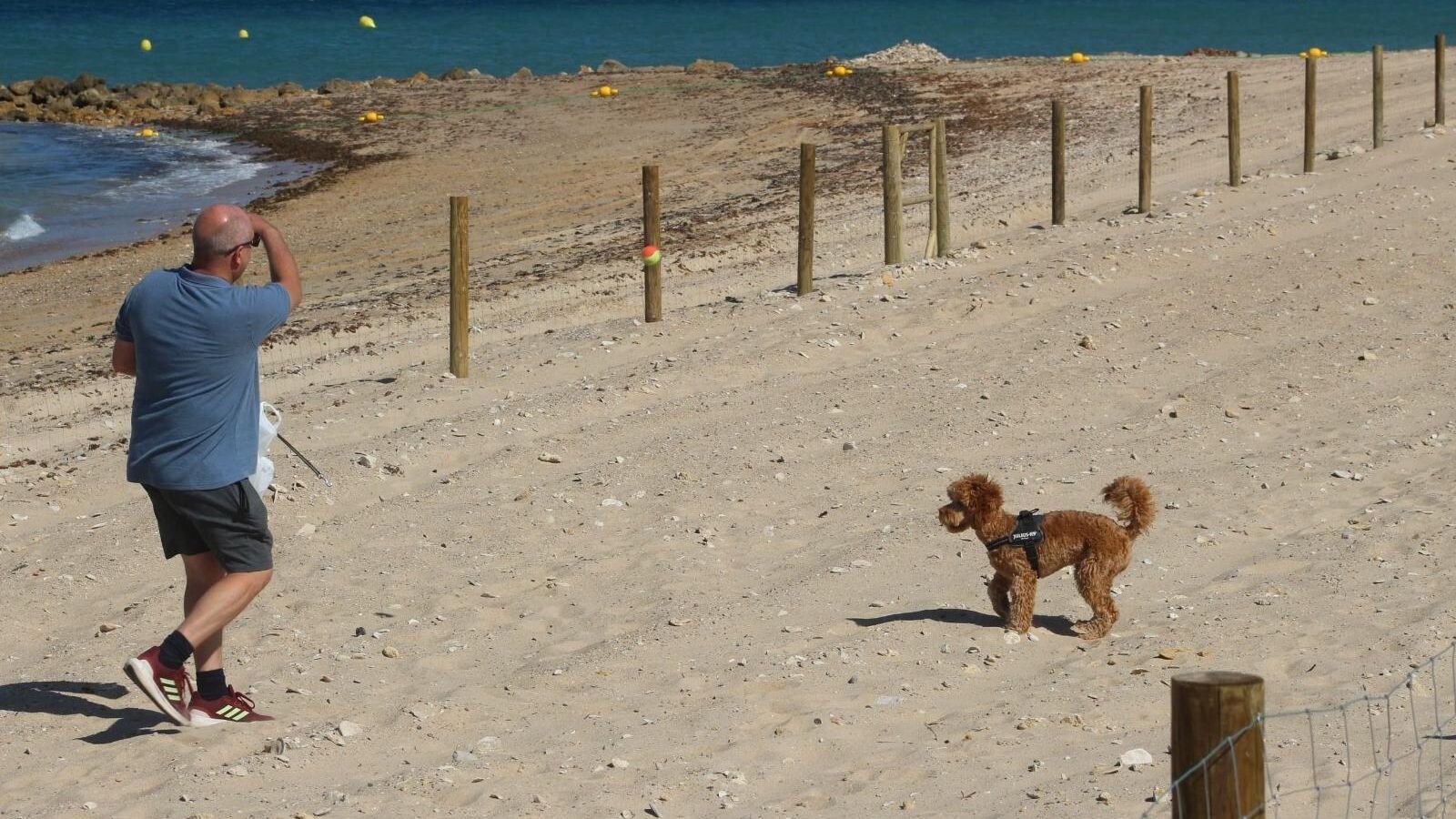 Un hombre jugando con su mascota en la playa canina de Chiclana Un hombre jugando con su mascota en la playa canina de Chiclana