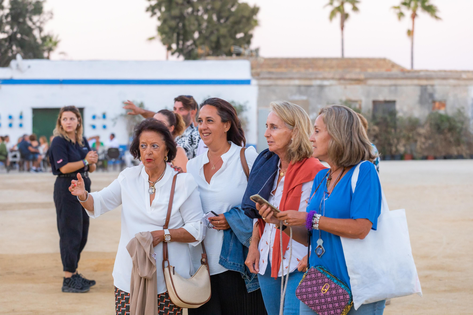 Búscate en el concierto de Raphael en el Concert Music