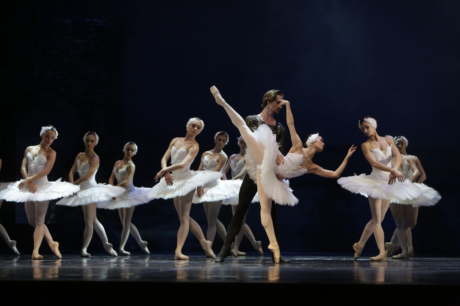 EL LAGO DE LOS CISNES