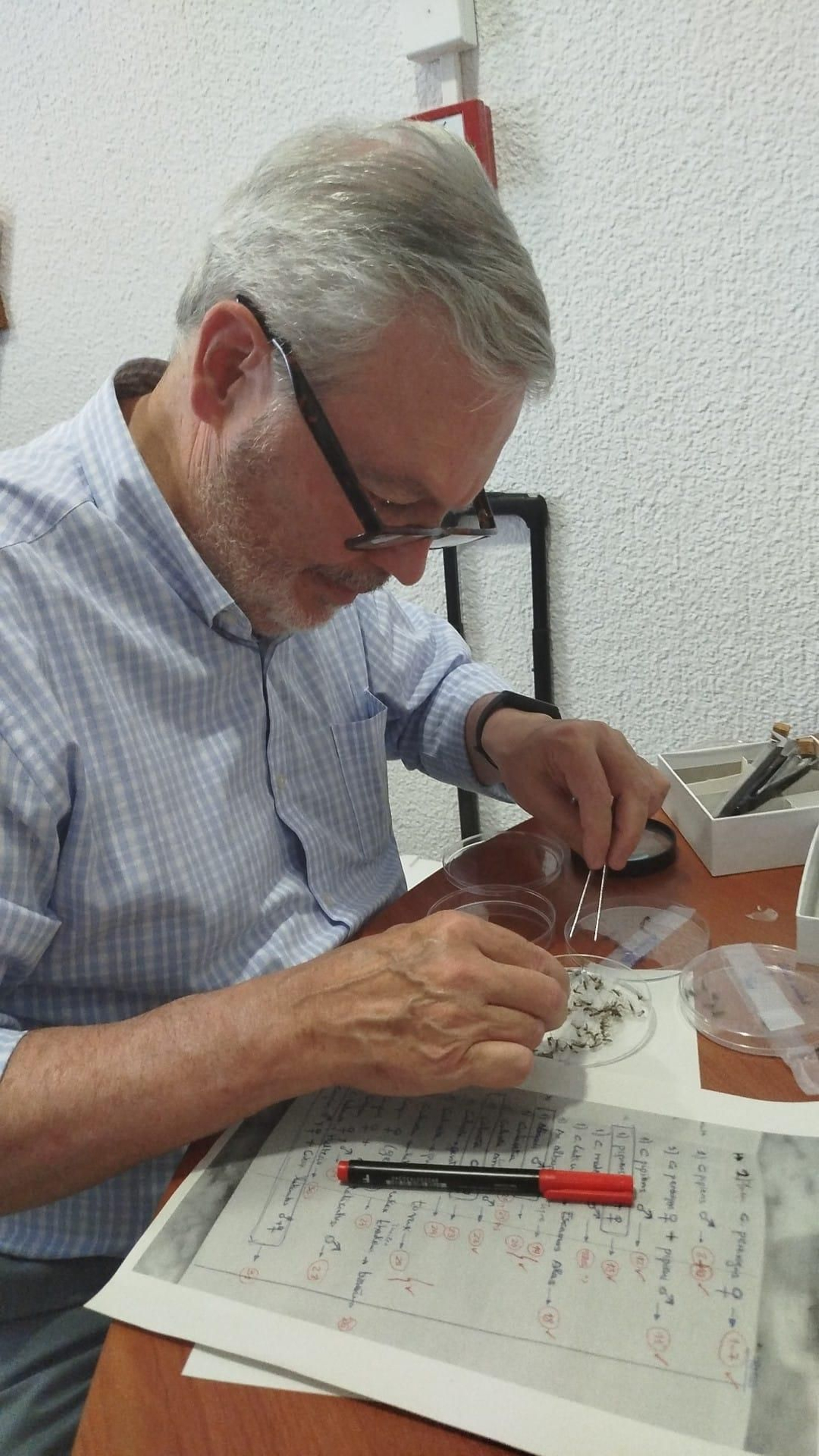 Un inspector del Plan durante los trabajos. Un inspector del Plan durante los trabajos.