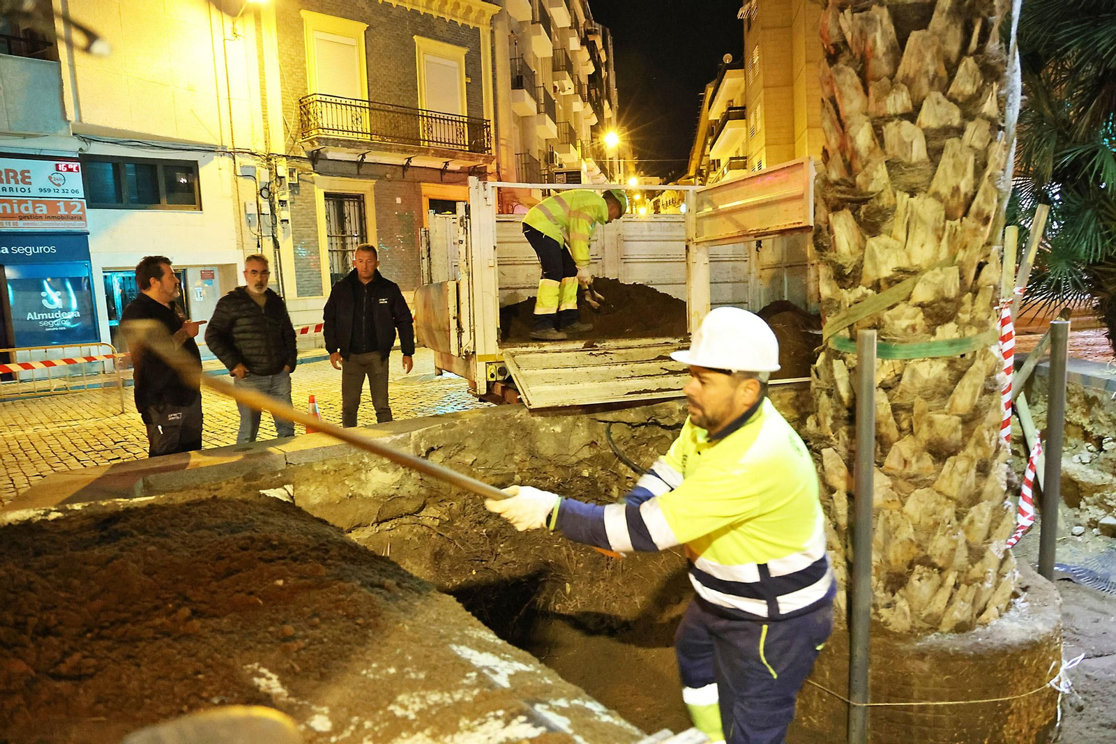 Las mejores imágenes de la plantación de la nueva palmera de Huelvaga