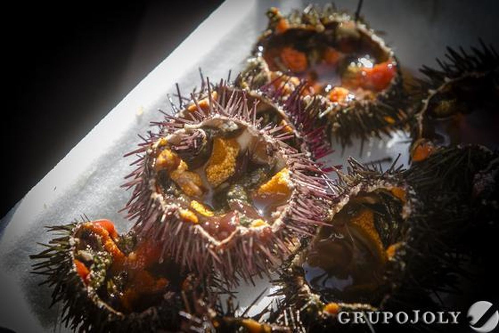 Foto: Lourdes de Vicente