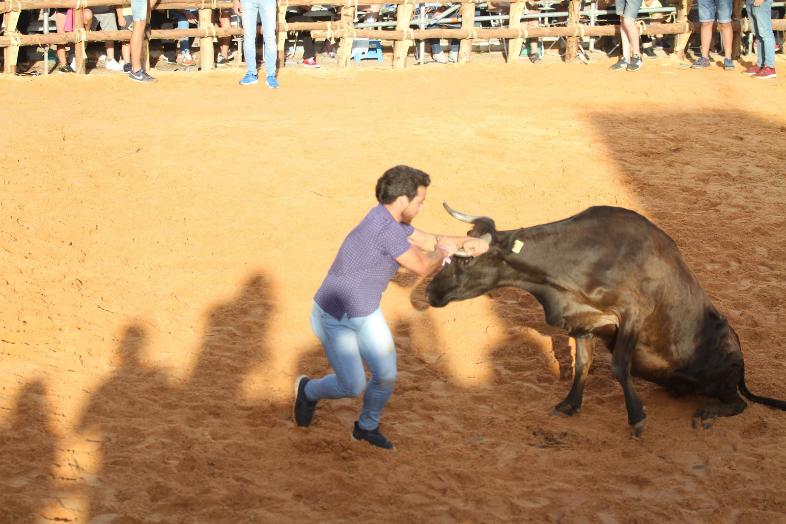 Comienzan las capeas en San Juan del Puerto