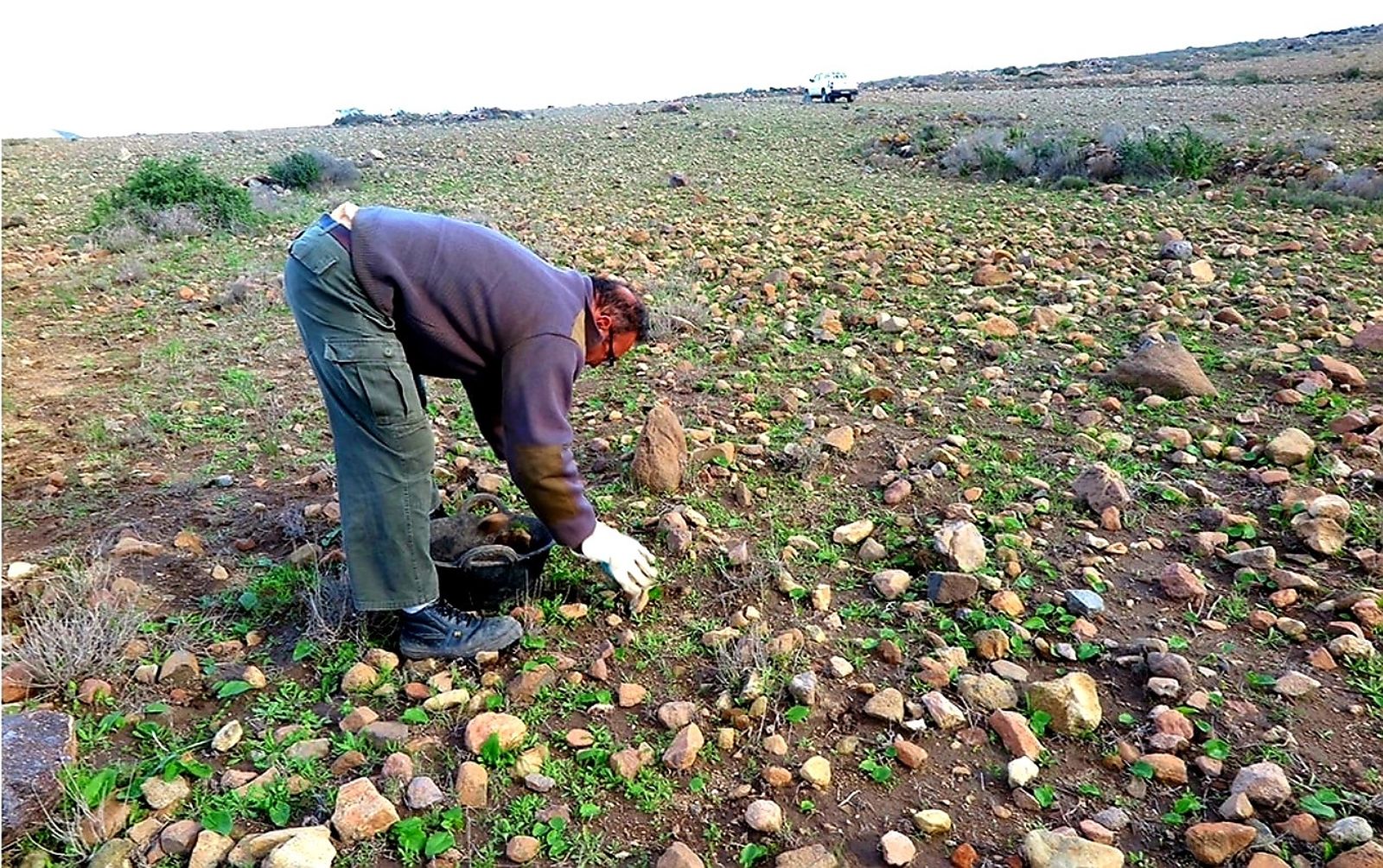 Trabajo desarrollado en el Parque Natural Cabo de Gata-Níjar para la creación de balates.