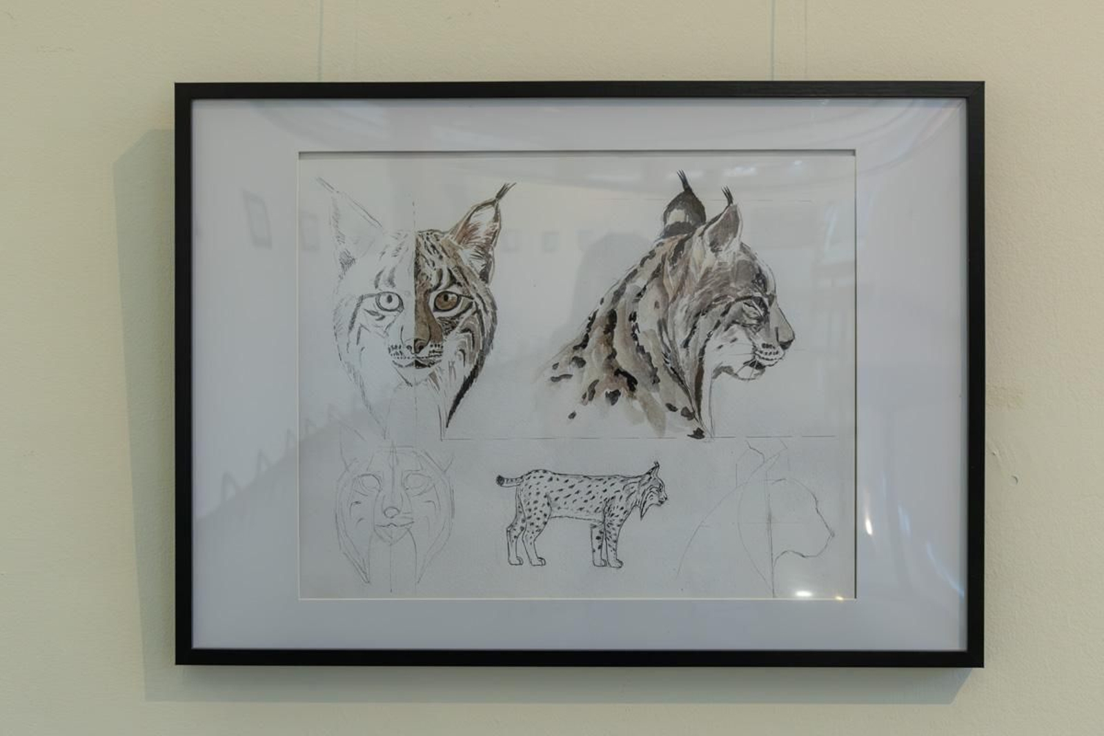 Exposición Los pinceles del lince ibérico, en imágenes