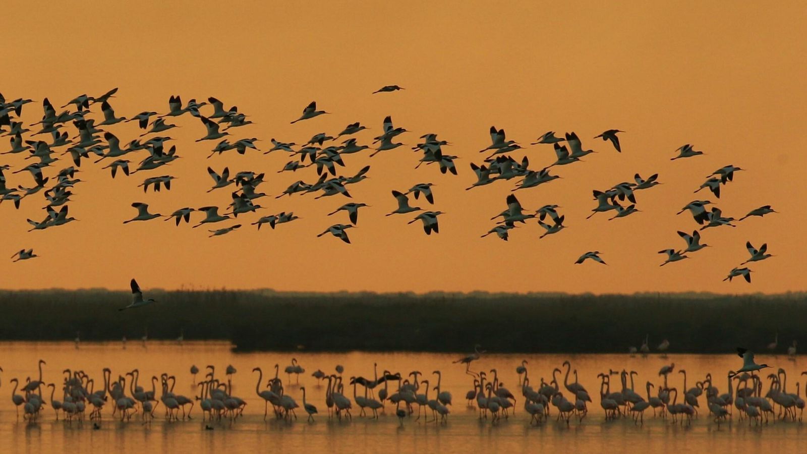 Durante las jornadas se proyectarán audiovisuales.