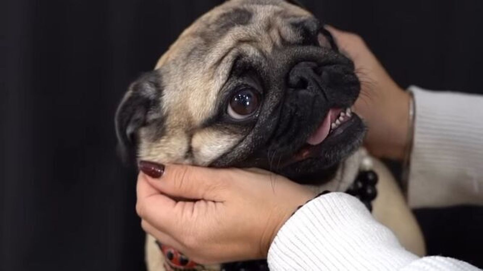 Un instante del vídeo de las sesiones que la autora ha compartido en sus redes.