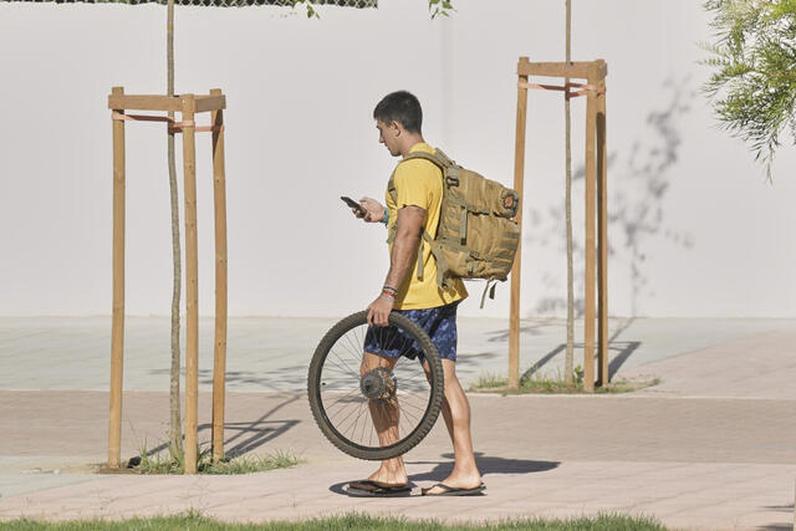 Retomando la normalidad