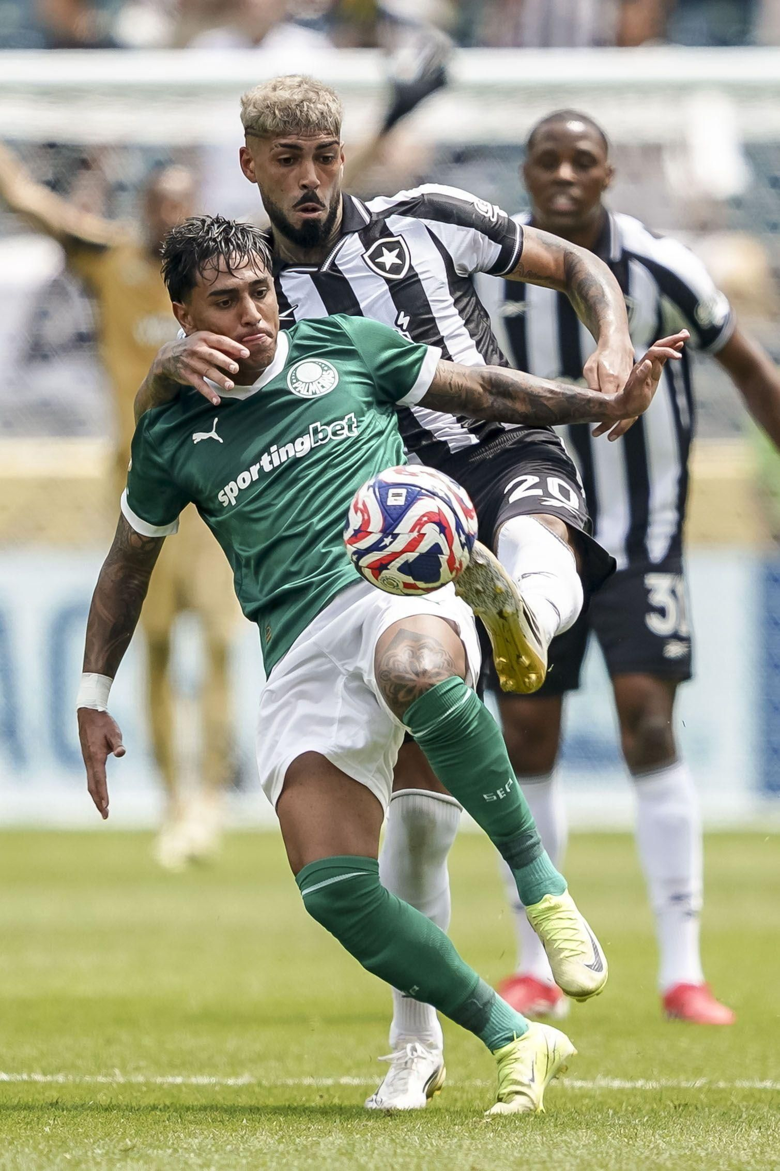 Palmeiras-Botafogo (21).jpg