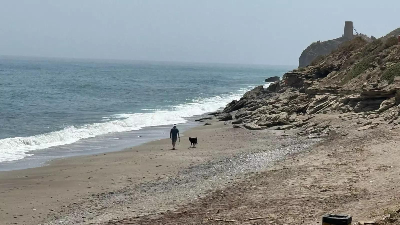 Esta playa canina, segunda del Levante, fue inaugurada en los primeros dias de mayo