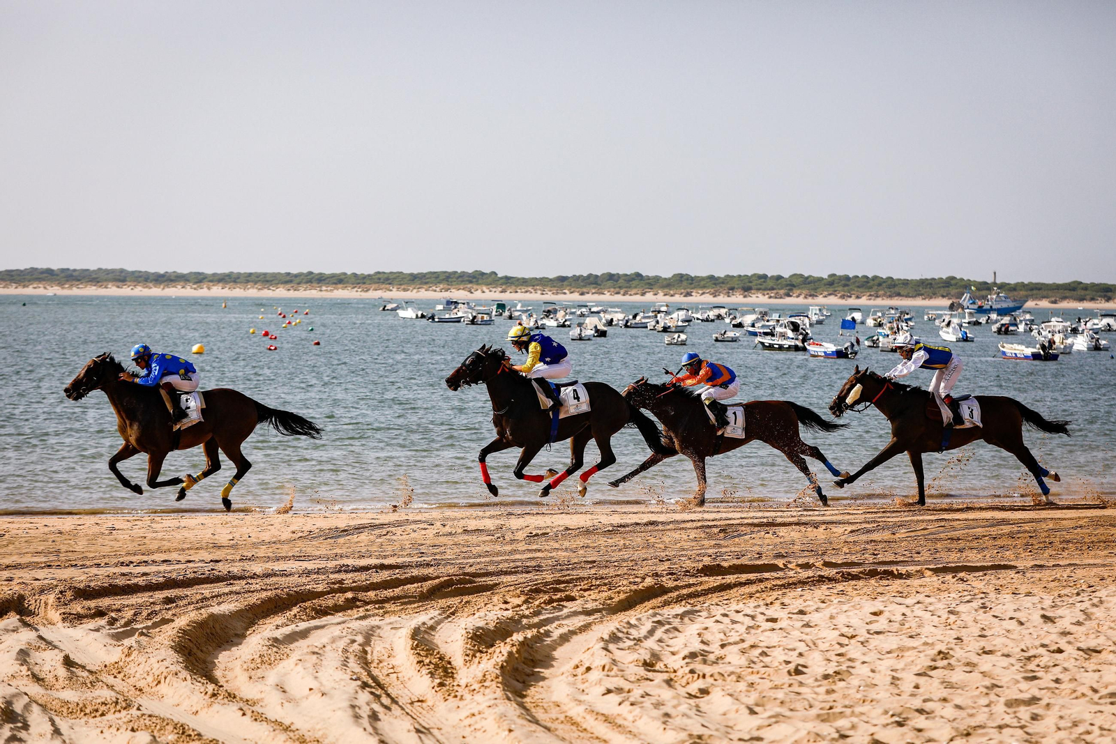 Imágenes de la segunda jornada del ciclo inicial de las Carreras de Caballos de Sanlúcar 2025