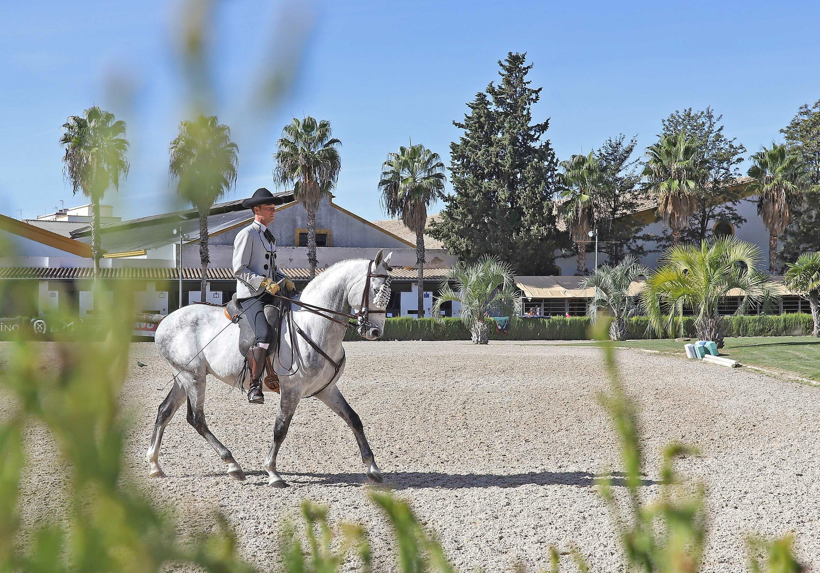 XVII Campeonato de Andalucía de Doma de Alta Escuela
