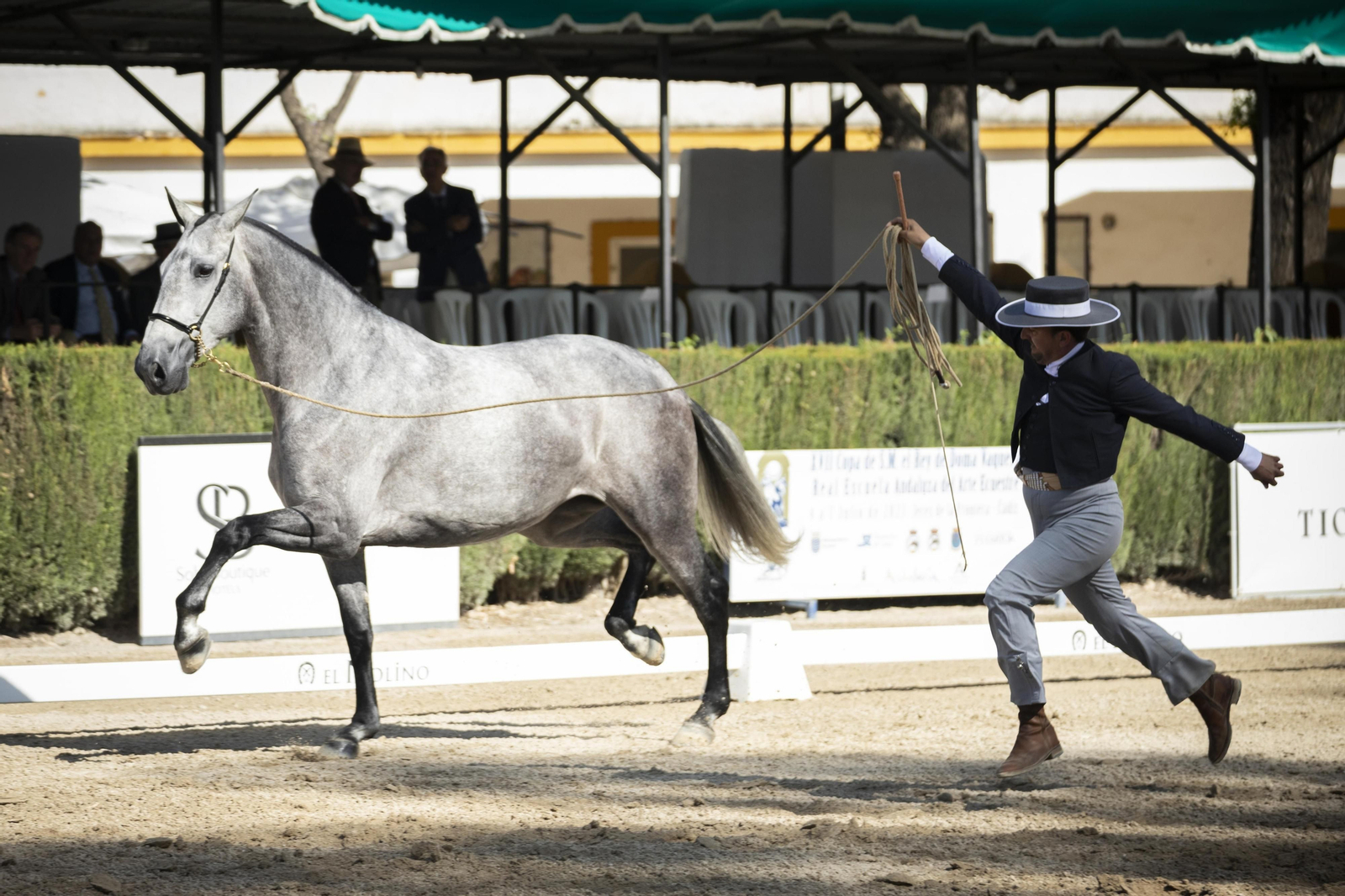 El concurso Campeón de Campeones en el Depósito de Sementales de Jerez