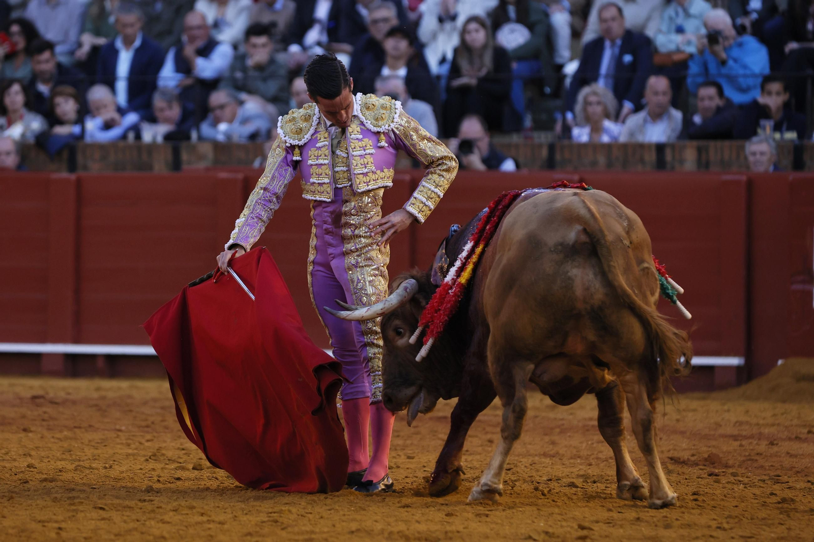 Las Imágenes del festejo