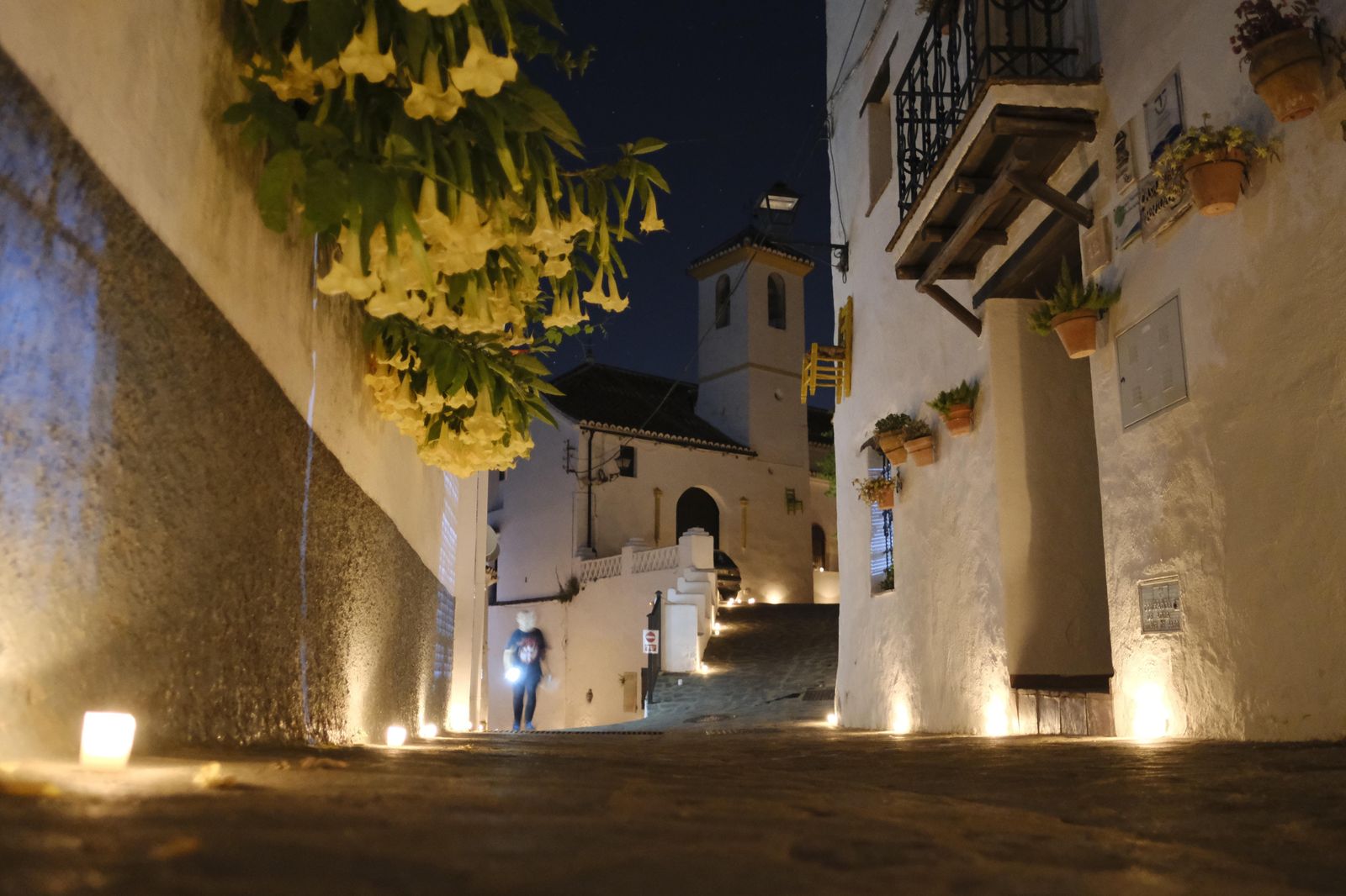 Bosque Encatando de Parauta, una noche mágica en fotos.