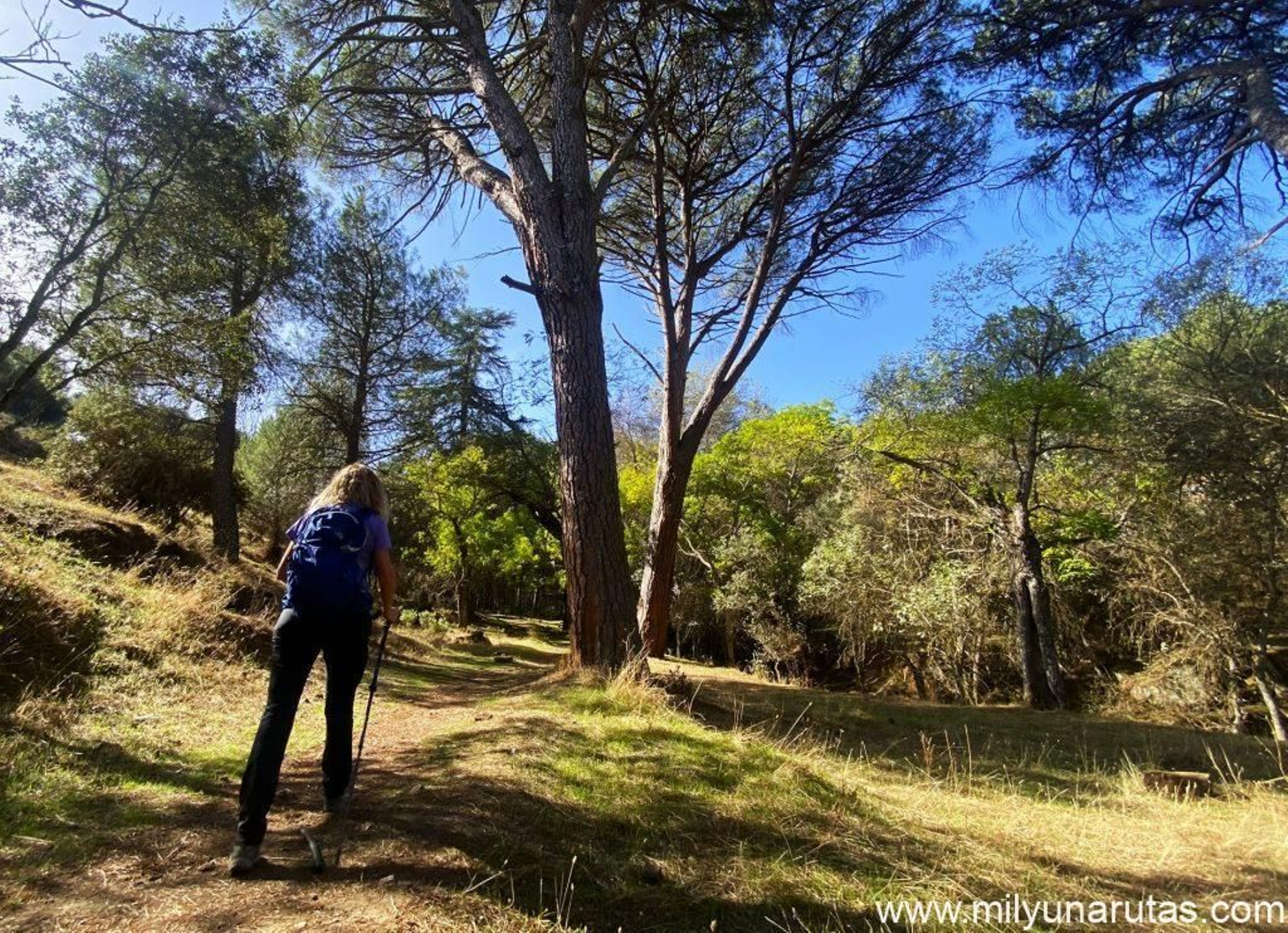 Este sendero es gustoso en esta época del año por el color de la arboleda del parque natural.