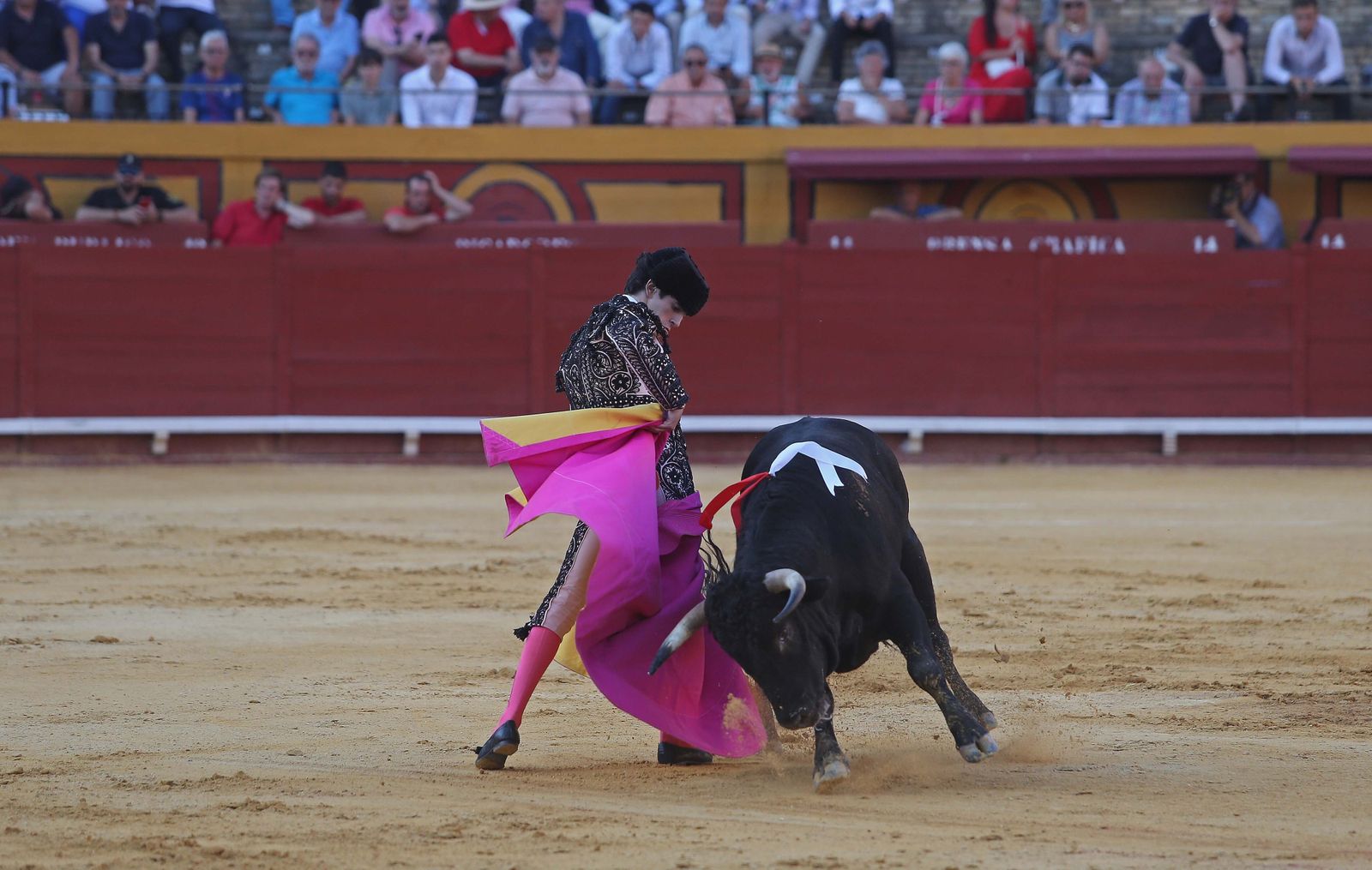 La novillada de Miguelín que abre la feria de Algeciras, en imágenes