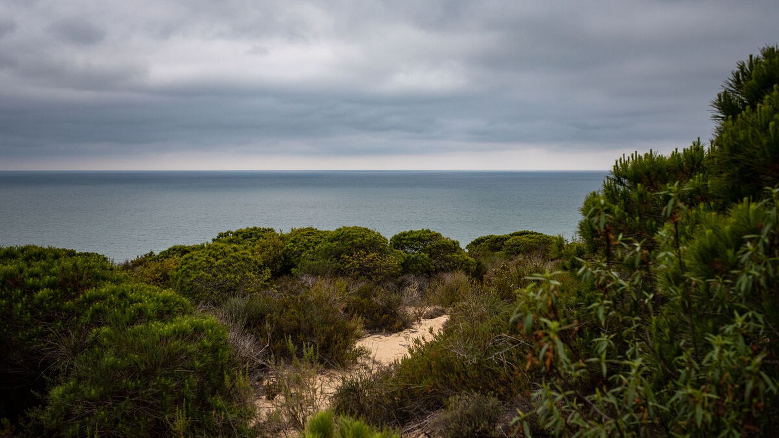 Vistas a Doñana
