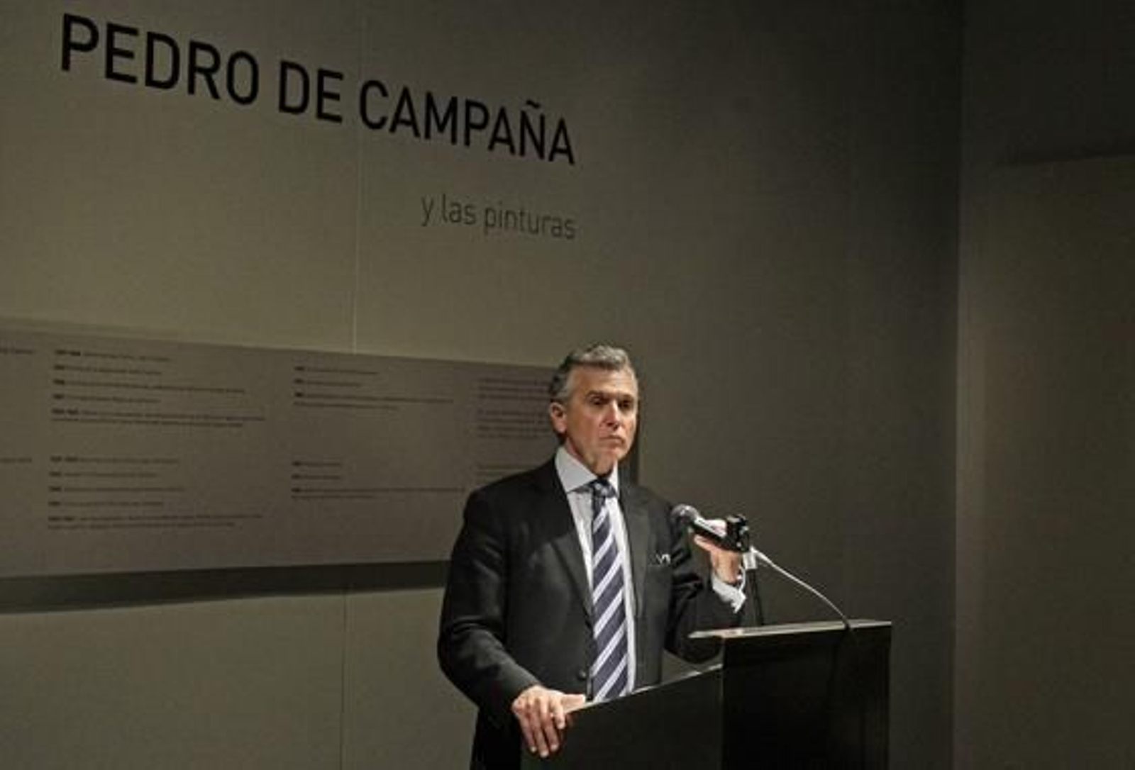 El consejero de Cultura, paulino Plata, presenta la exposición.

Foto: Antonio Pizarro