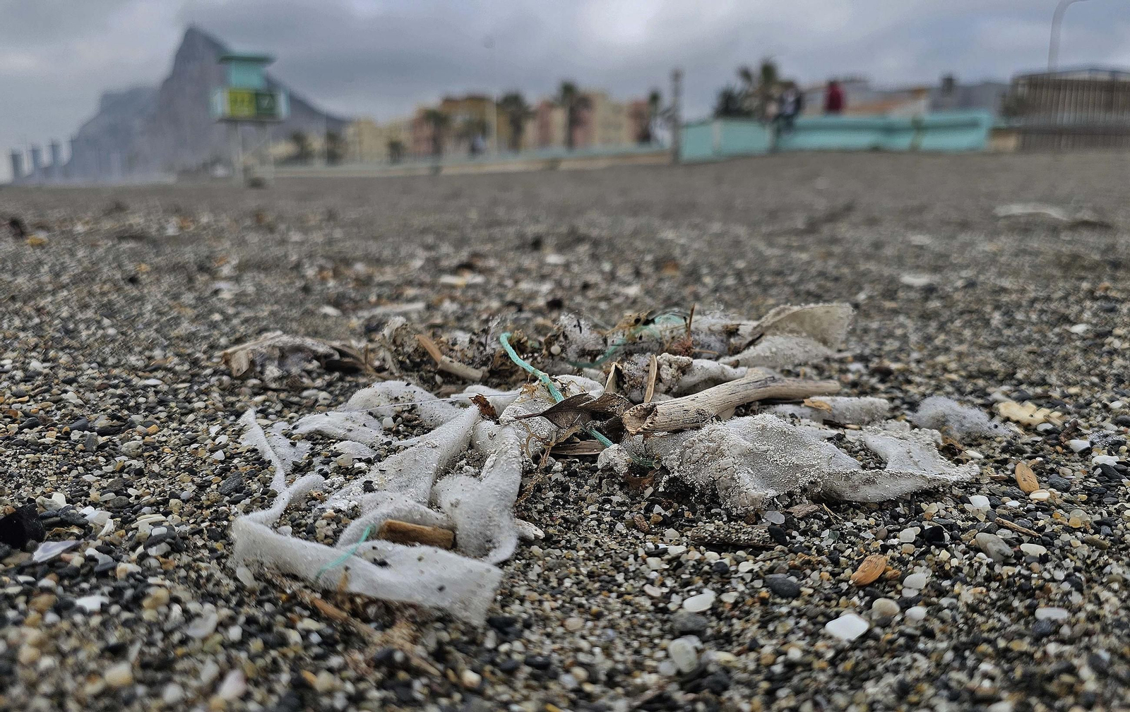 Las toallitas acumuladas en la playa de Levante de La Línea, en imágenes