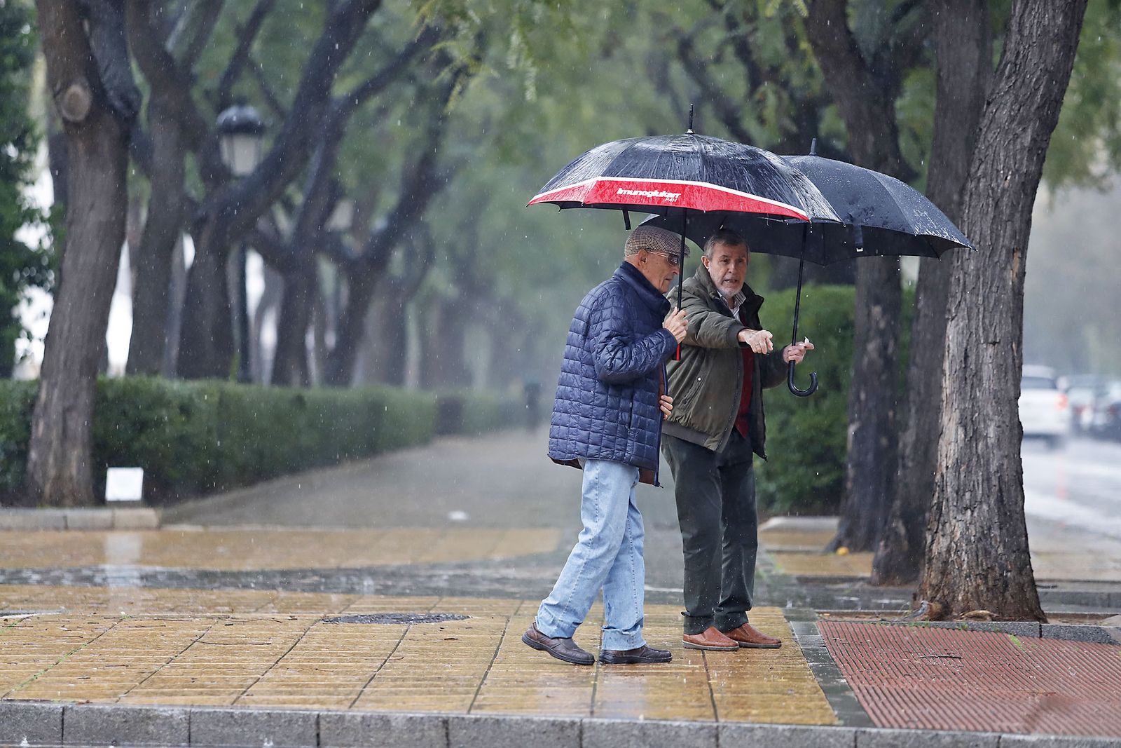 imágenes de la lluviosa mañana en Huelva