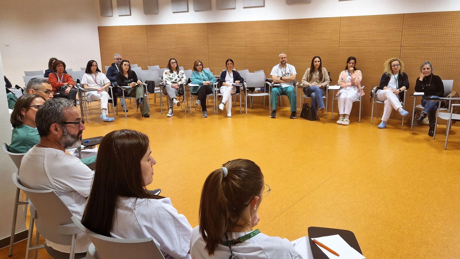 Comisión de Cuidados en el Clínico San Cecilio