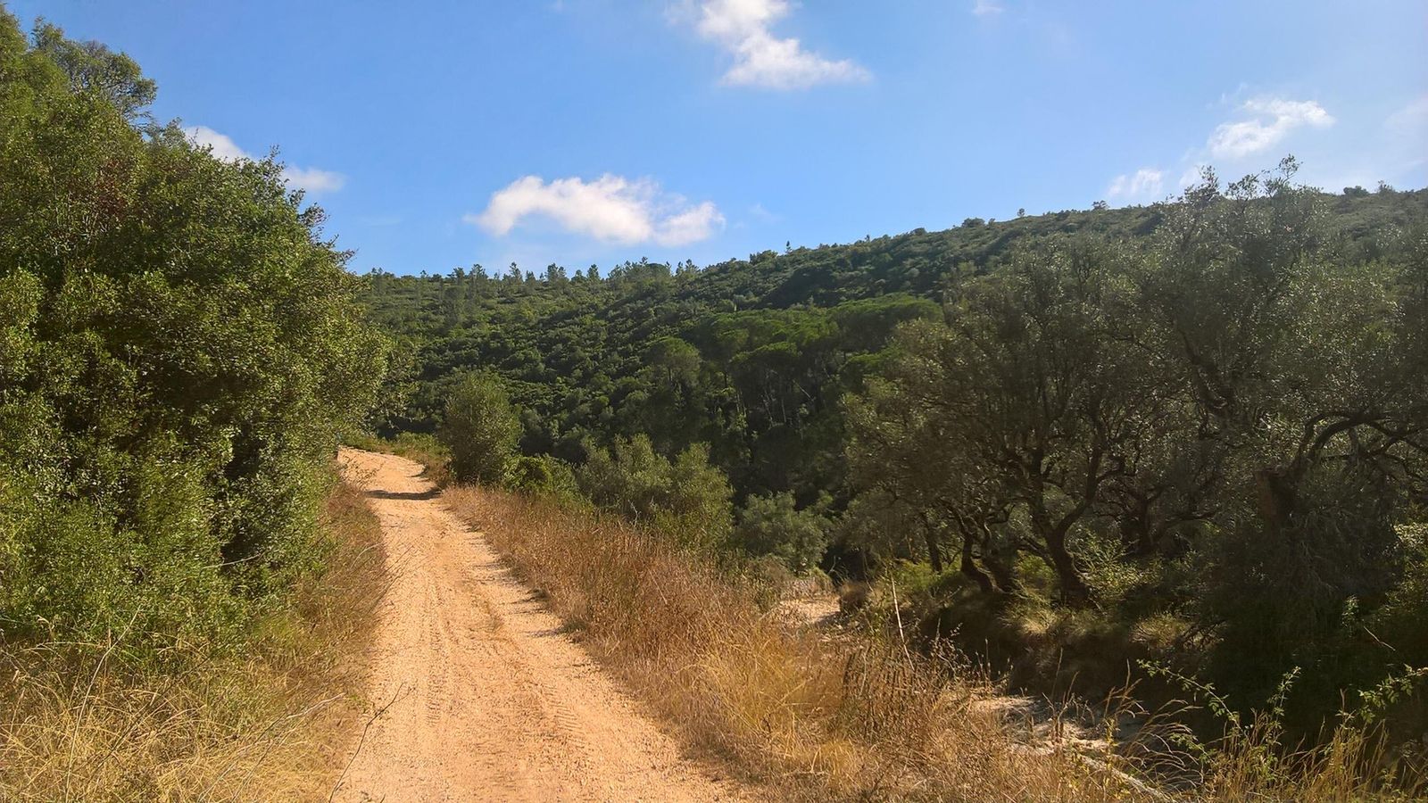 Aproximación a las ruinas romanas de Conímbriga