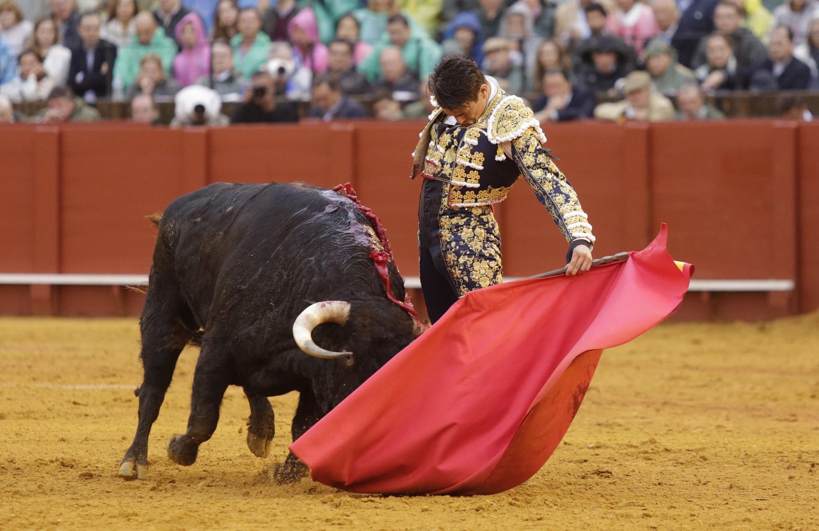 Jose Mária Manzanares.