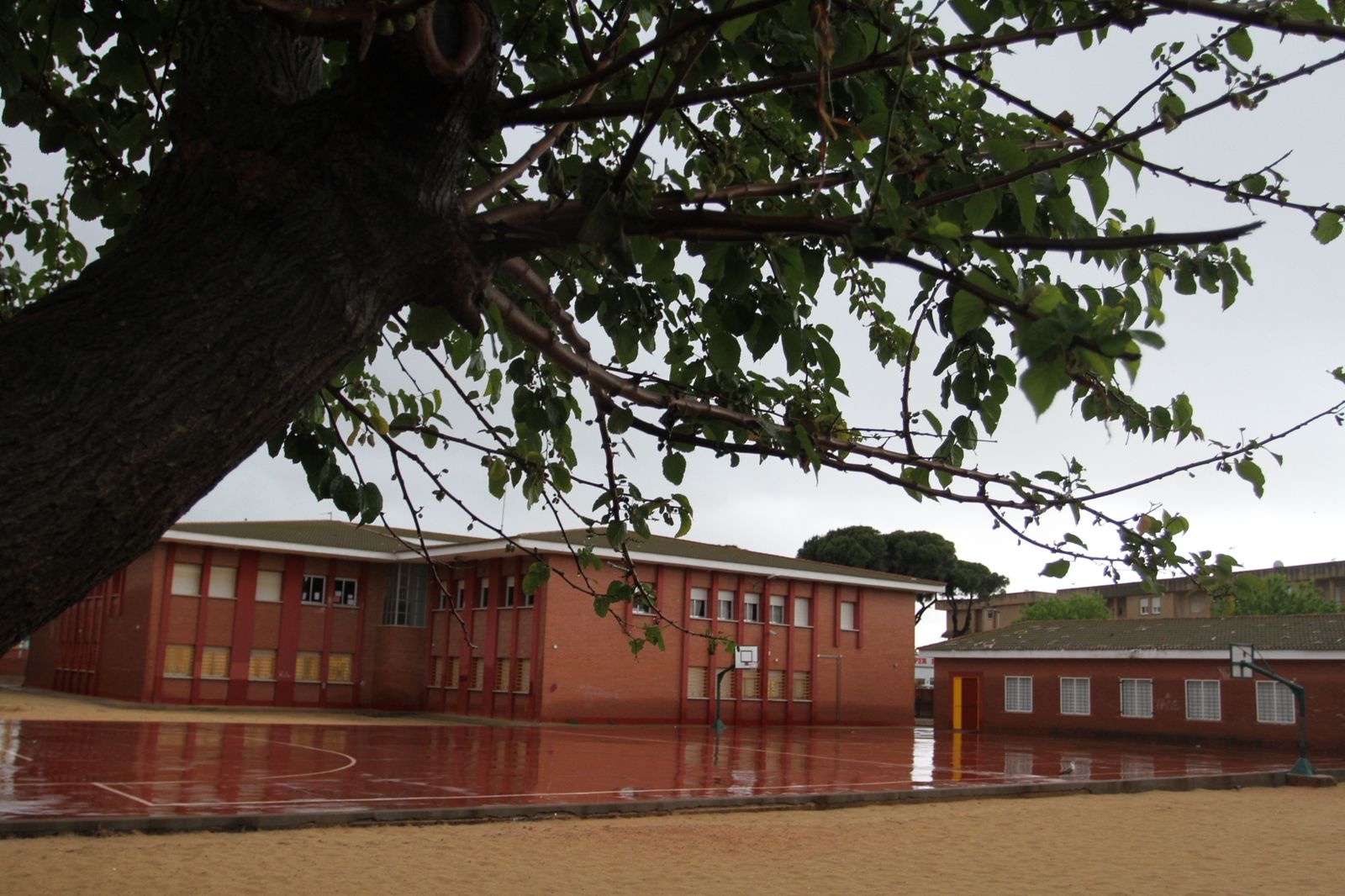 Imágenes de las consecuencias de las lluvias en Punta Umbría