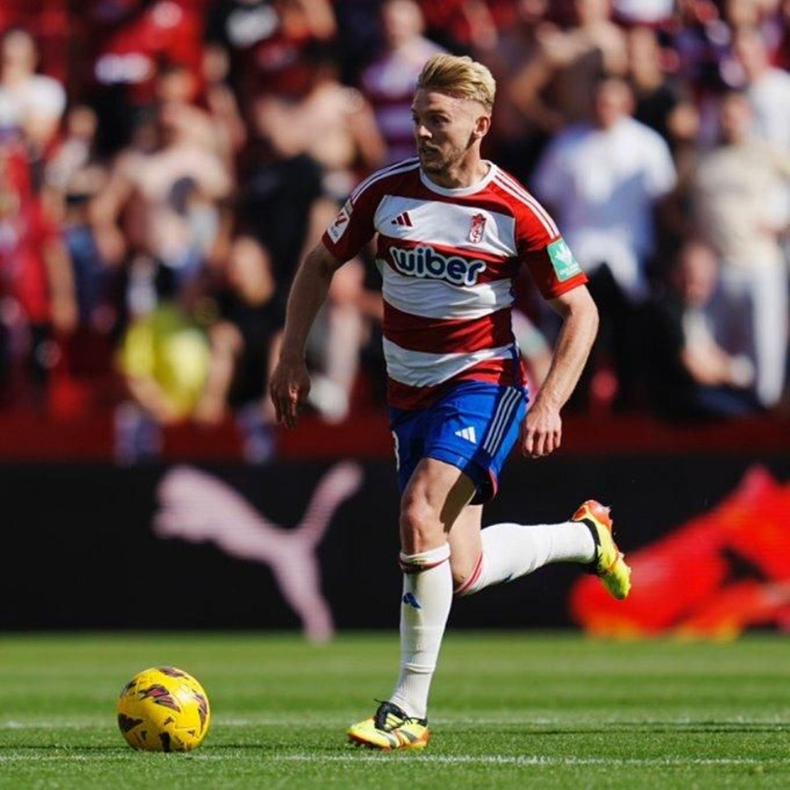 Jozwiak, en acción en un partido
