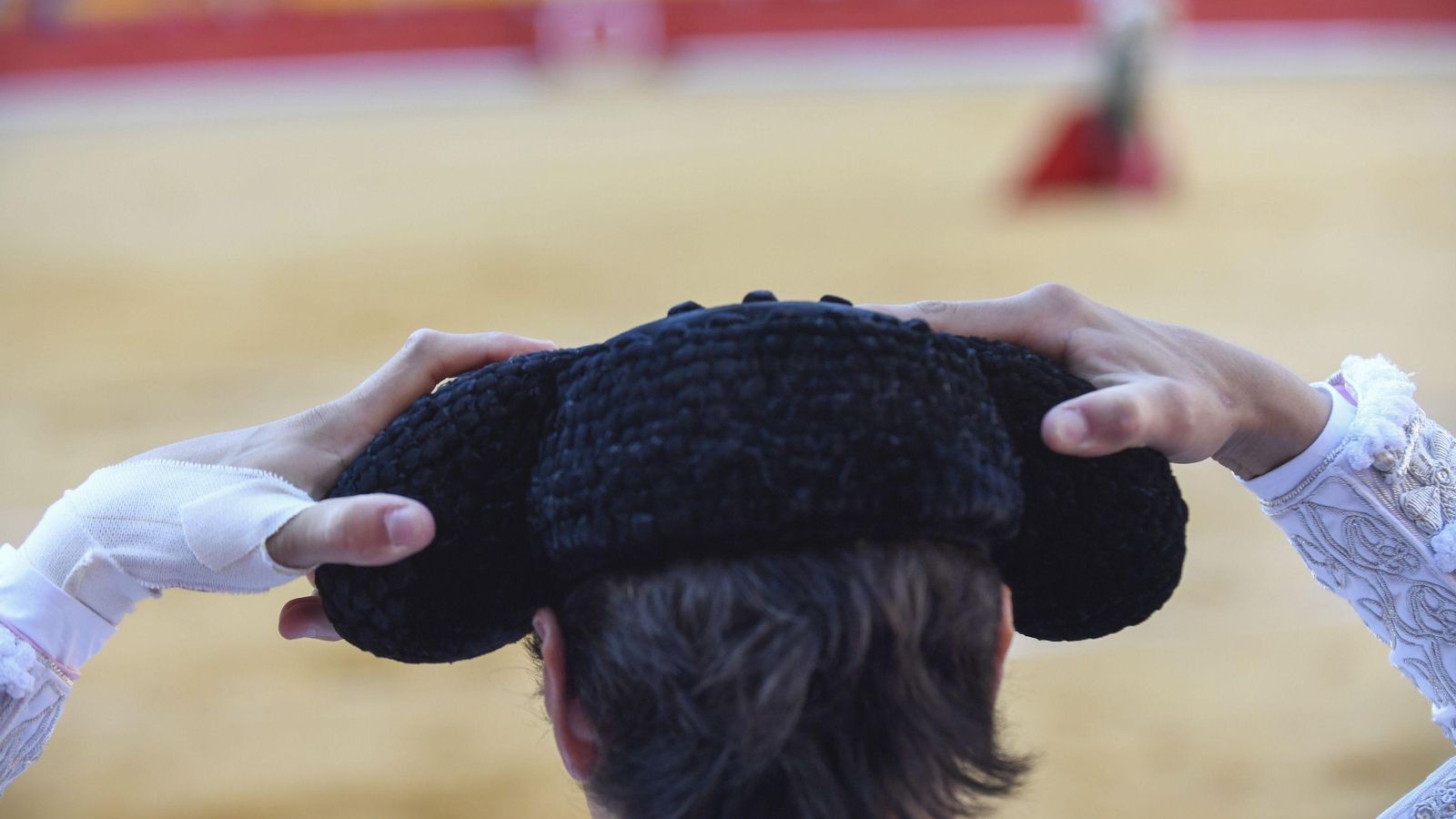 Toros en Las Palomas