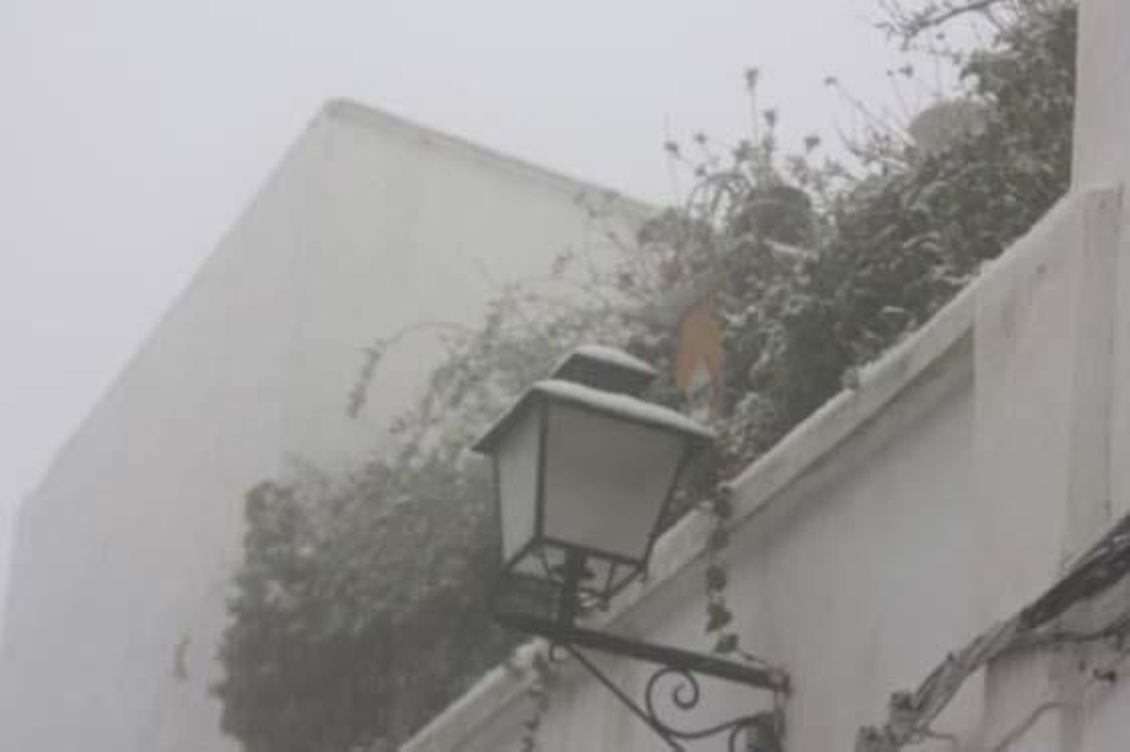 Foto: Carlos Muñoz, Edu, Auxi Nuevo, José Puerto