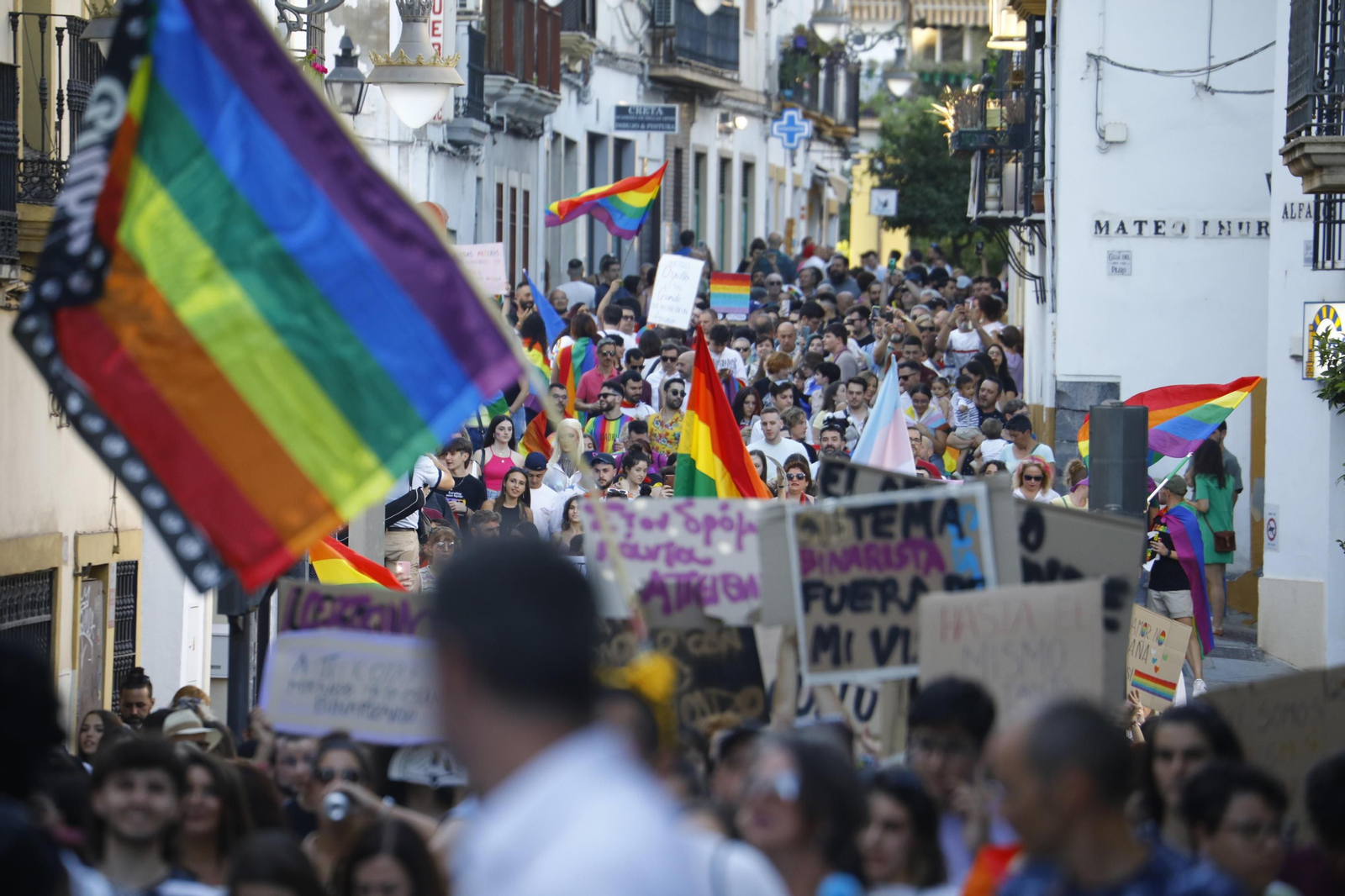 La marcha del Orgullo LGTBIQ+ de Córdoba, en imágenes