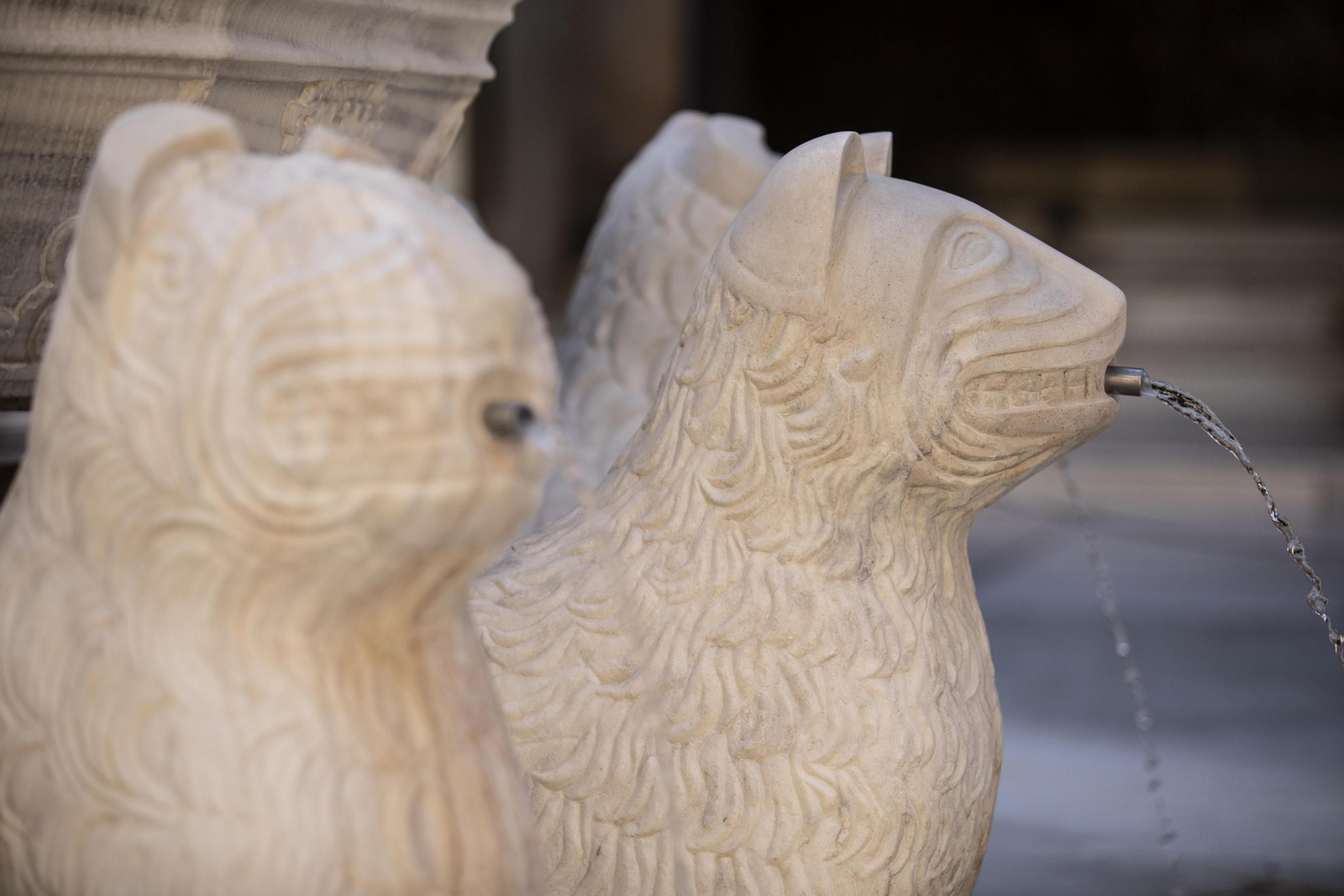 Fotos de la Alhambra en el Día Mundial del Patrimonio