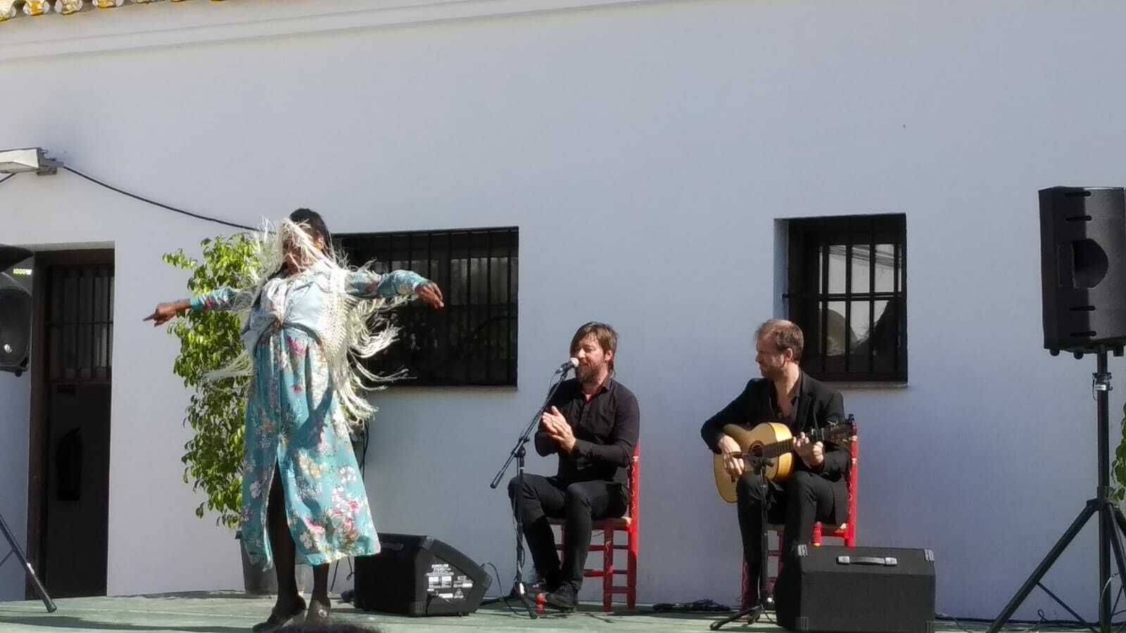 Actuación de flamenco en el Cortijo del Alamillo.