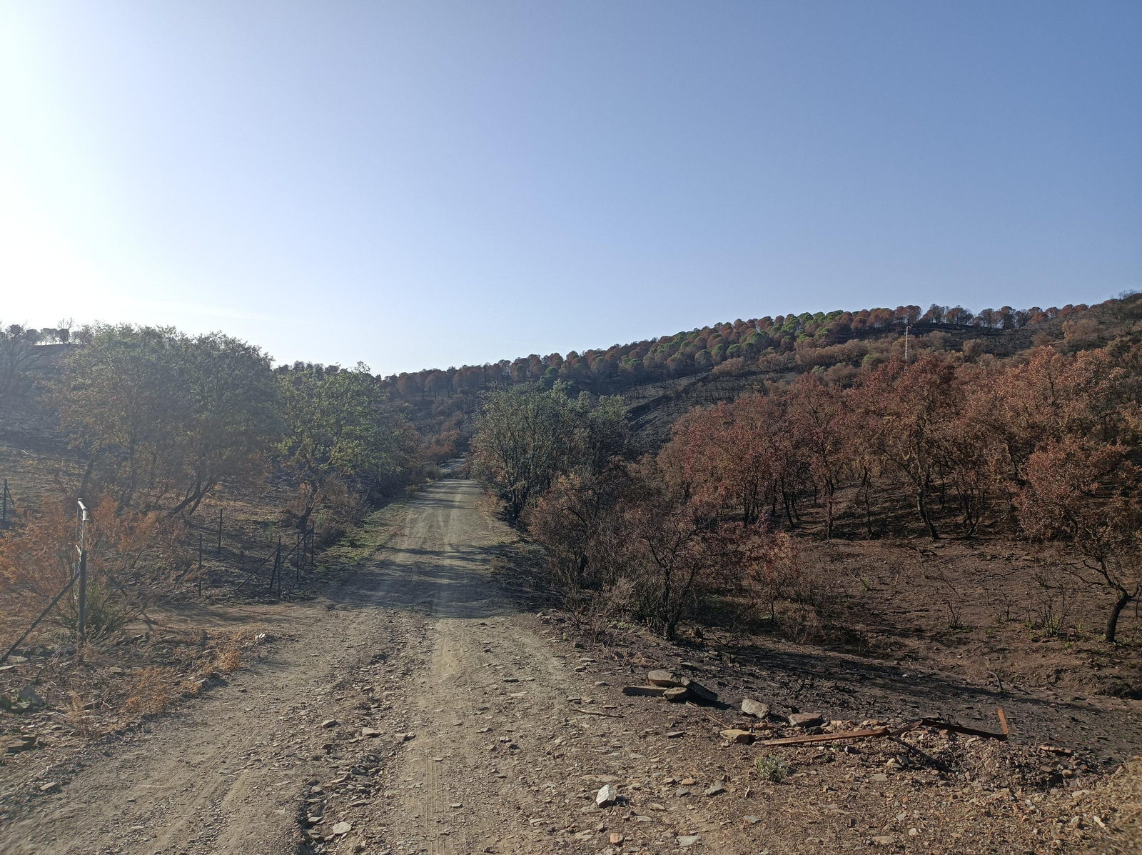 Fotos de la ruta de Los Brezales-Umbría de Santa Fe en el Ronquillo