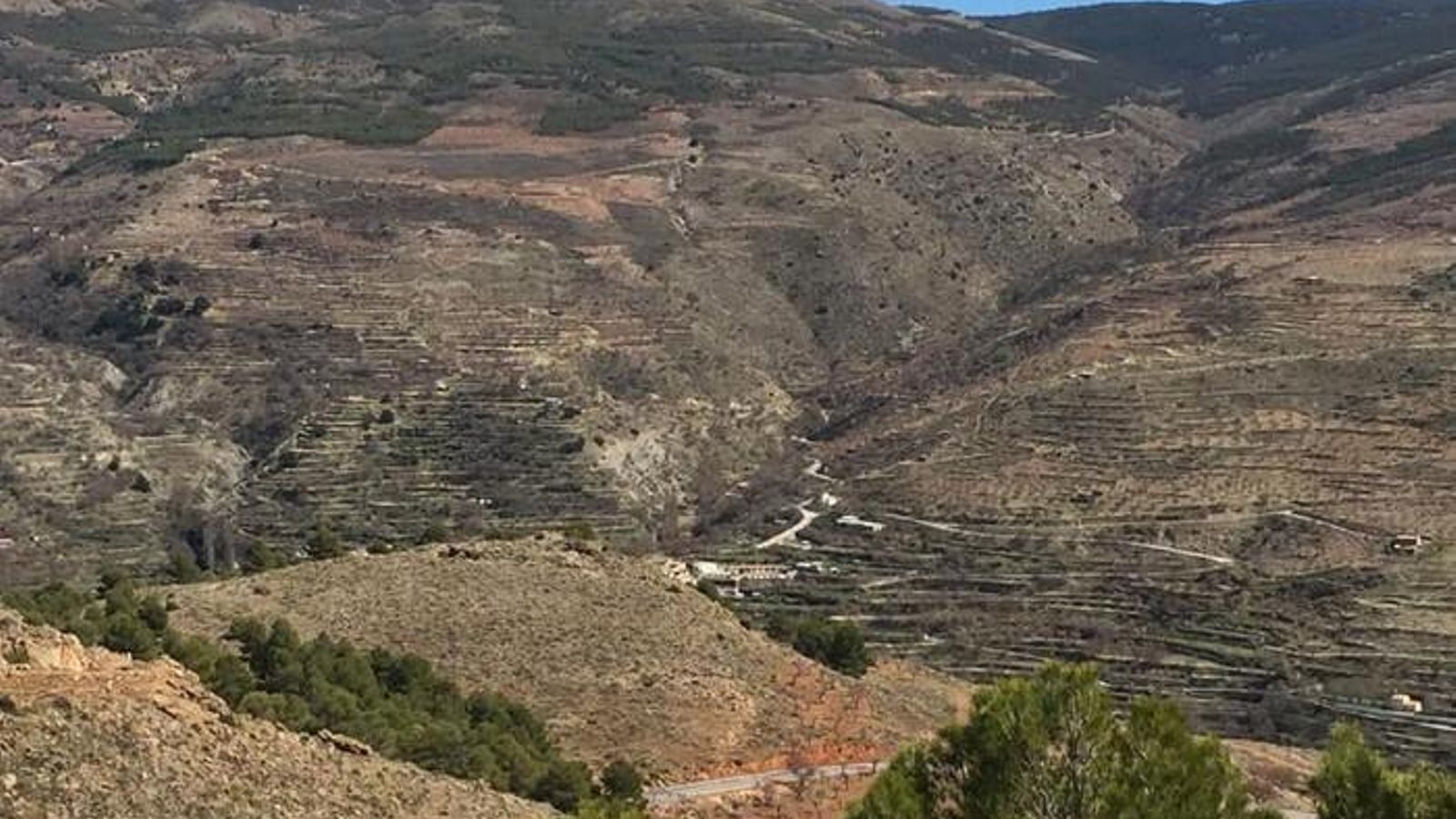 Las fincas se encuentran en la Rambla del Carril en Gérgal