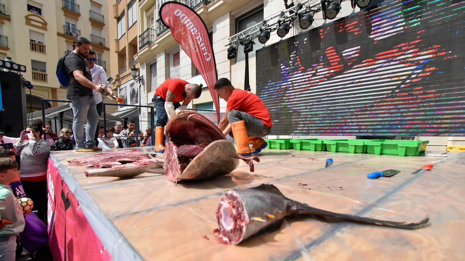 Fotos del ambiente en la Ruta del Atún de La Línea
