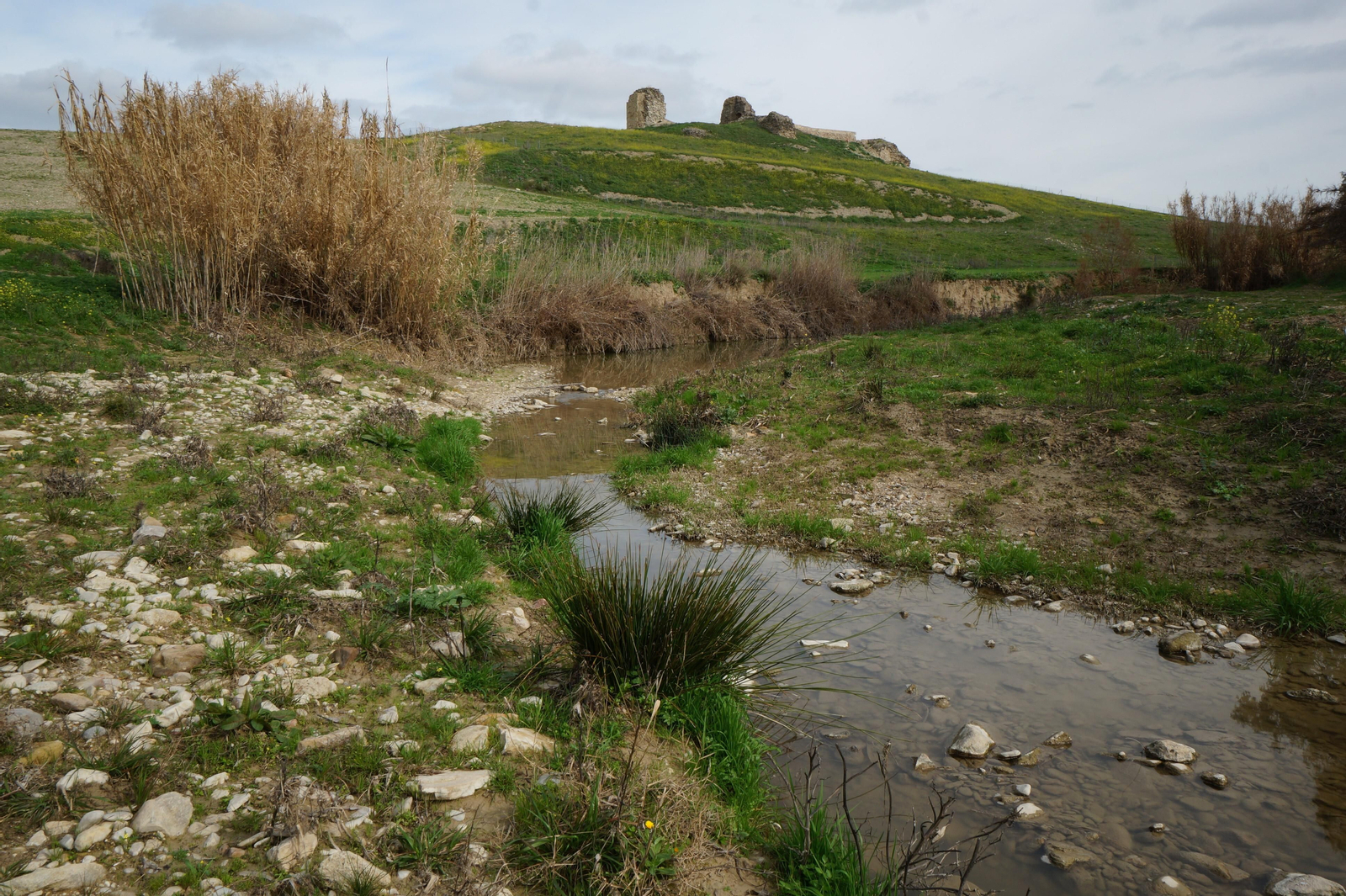 El castillo de Dos Hermanas de Montemayor, en fotografías