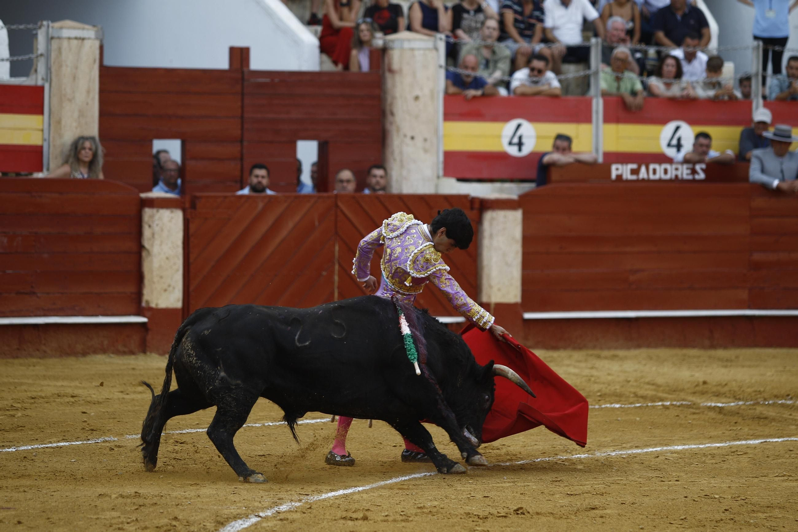 Imágenes de la novillada de la Feria de Almería 2025