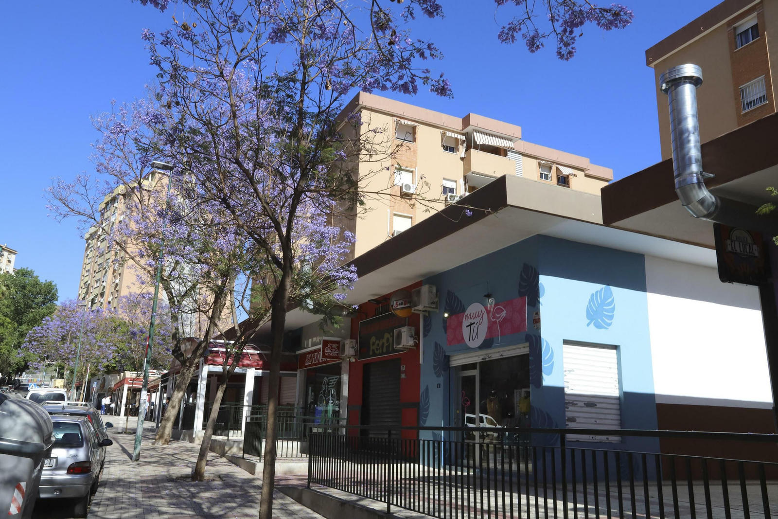 Las fotos de Ciudad Jardín